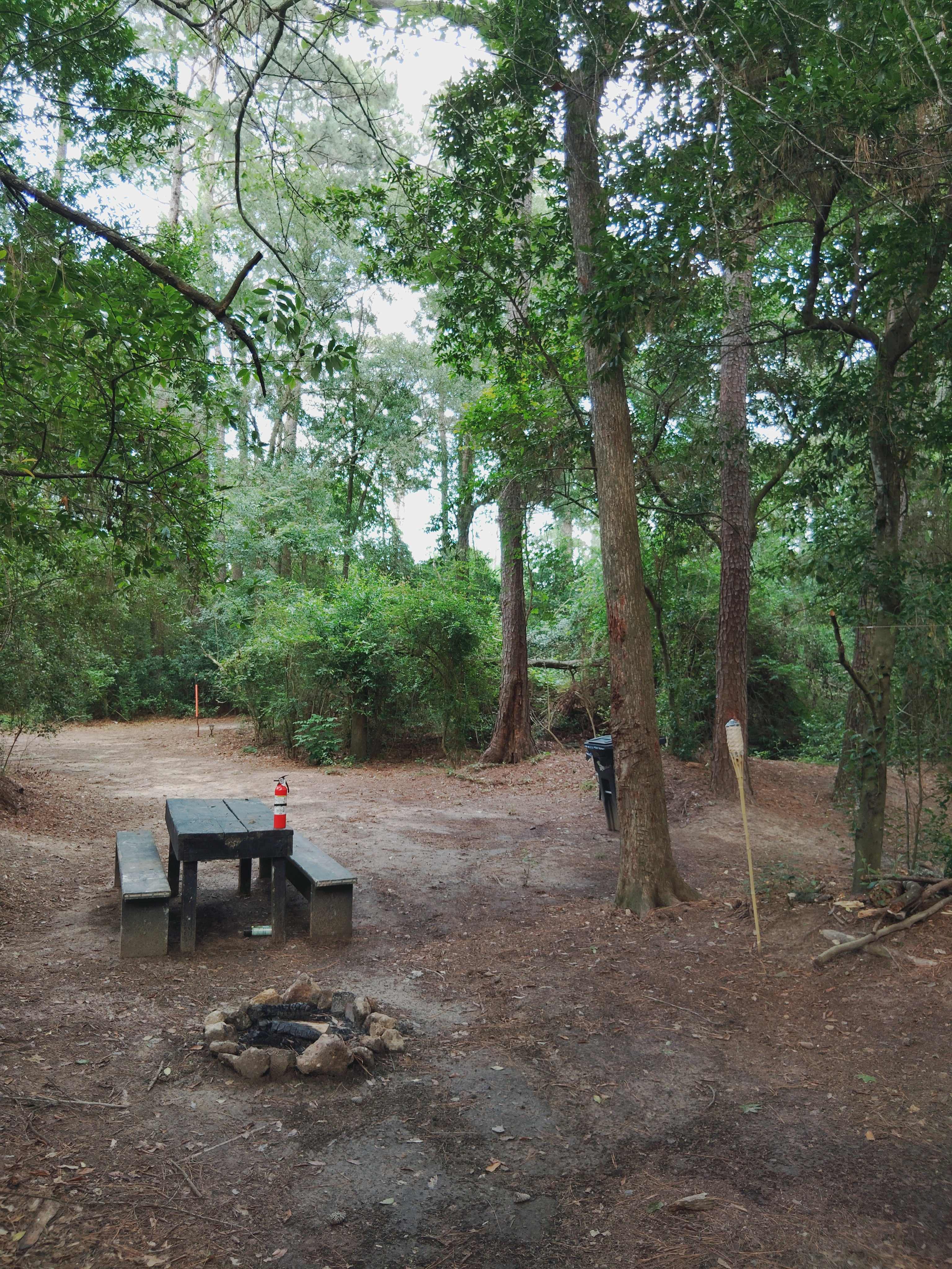 A cozy campsite tucked beneath tall trees, featuring a picnic table and a stone-lined fire pit—perfect for outdoor meals and evening s’mores.

