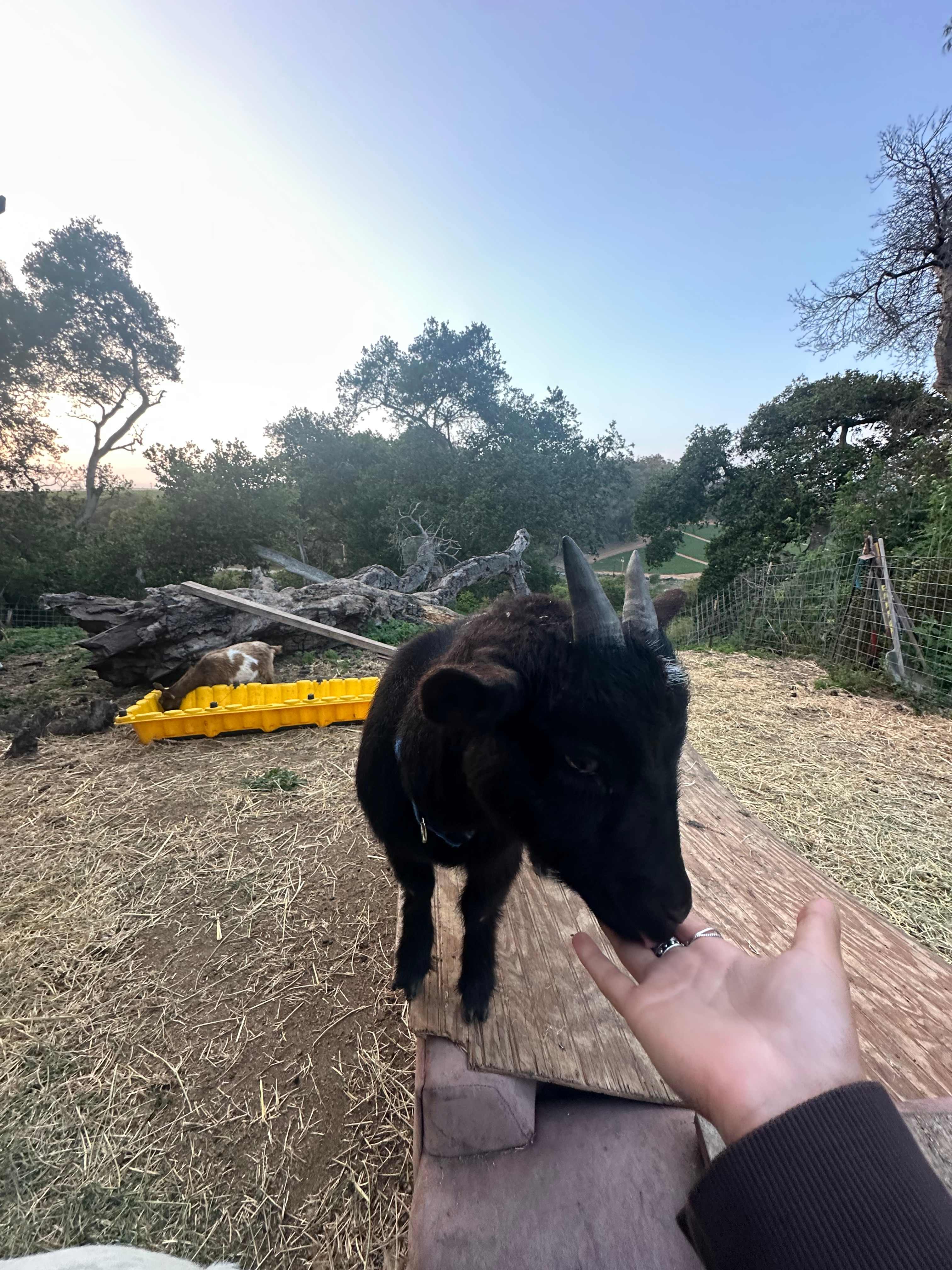 Elkhorn Ranch