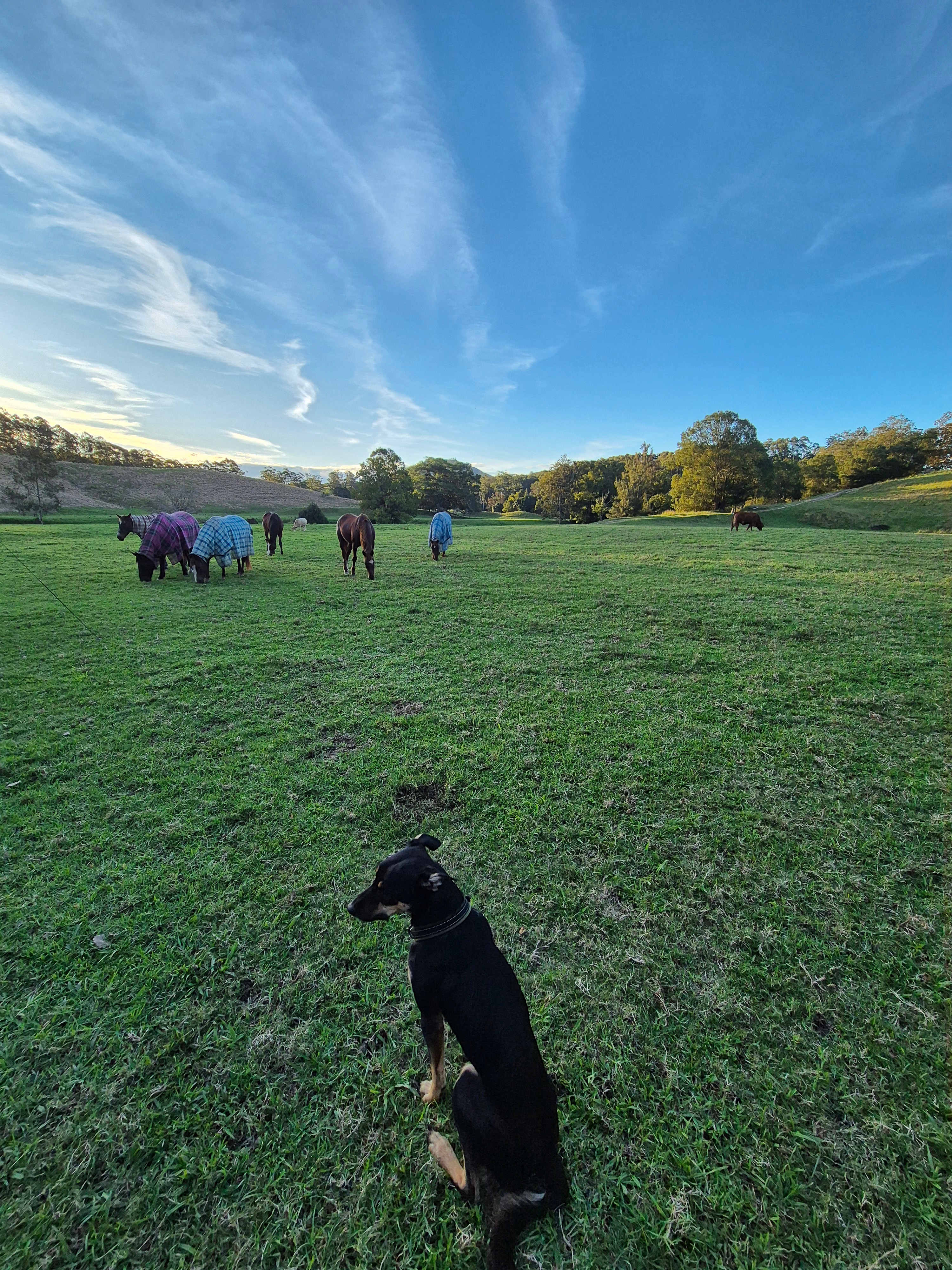 Yarrawin Camping