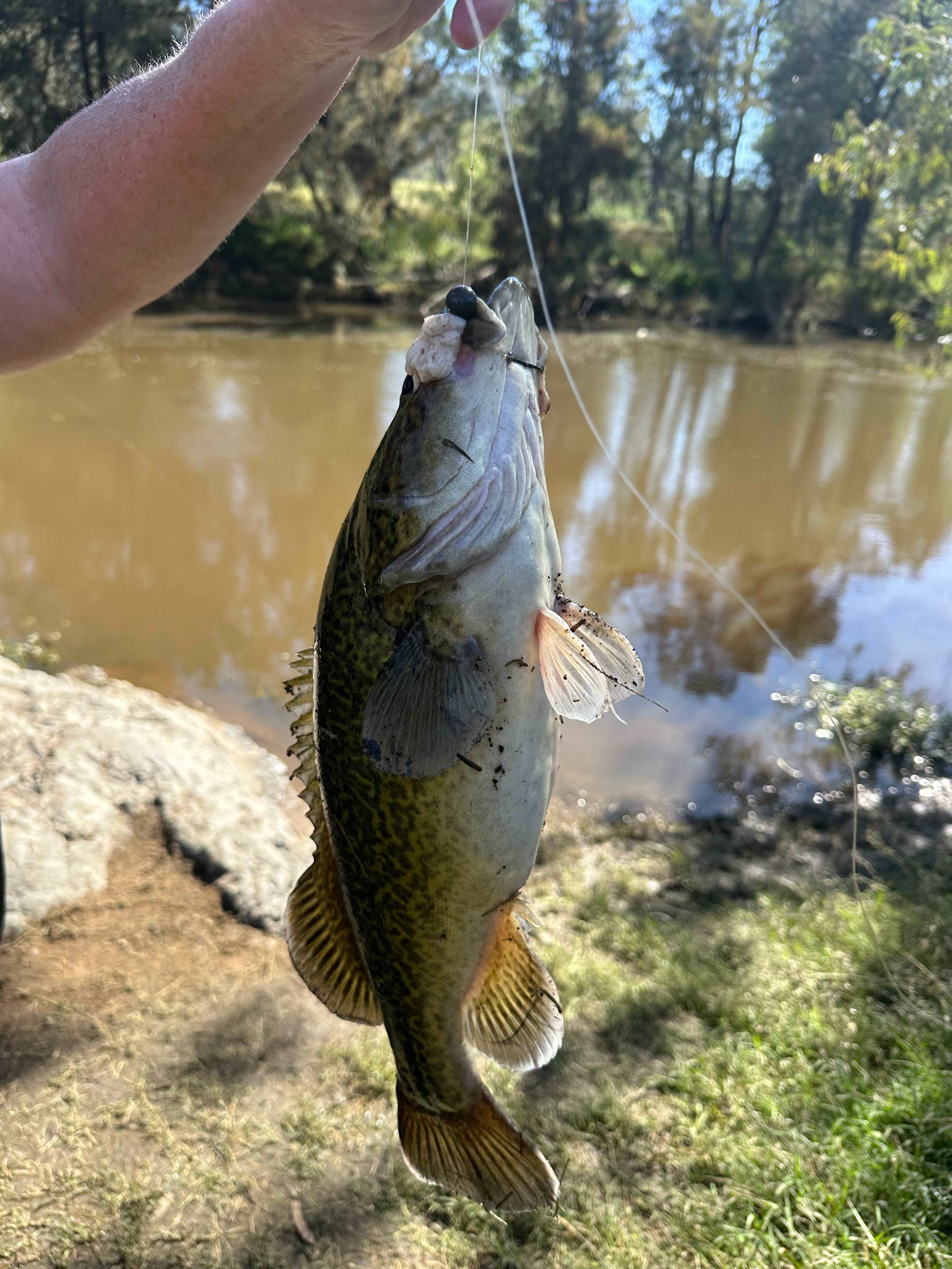 Namoi Valley Escape
