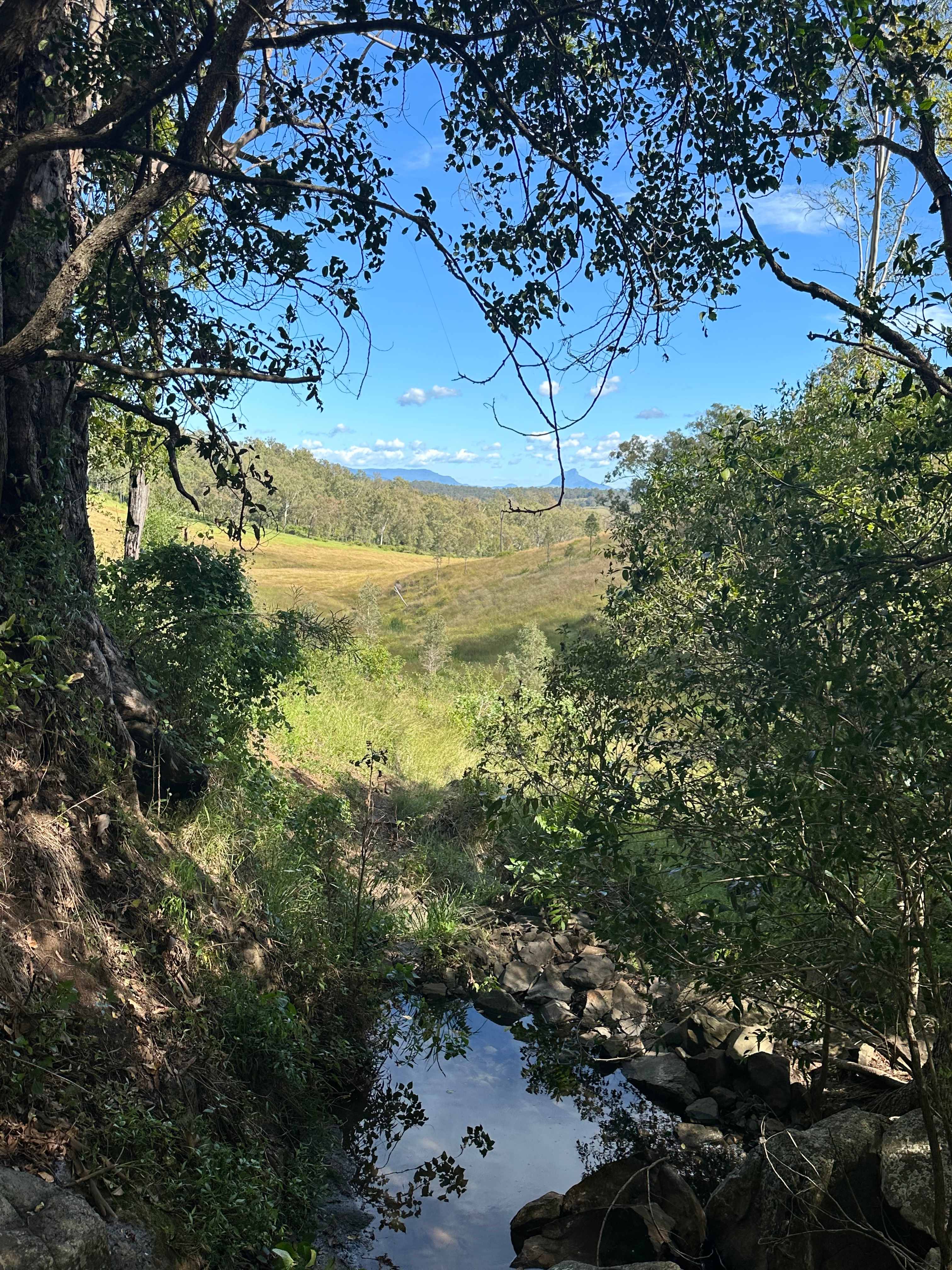 Larapinta