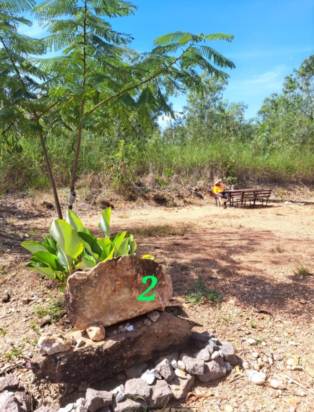 Berry Springs Park and Stay