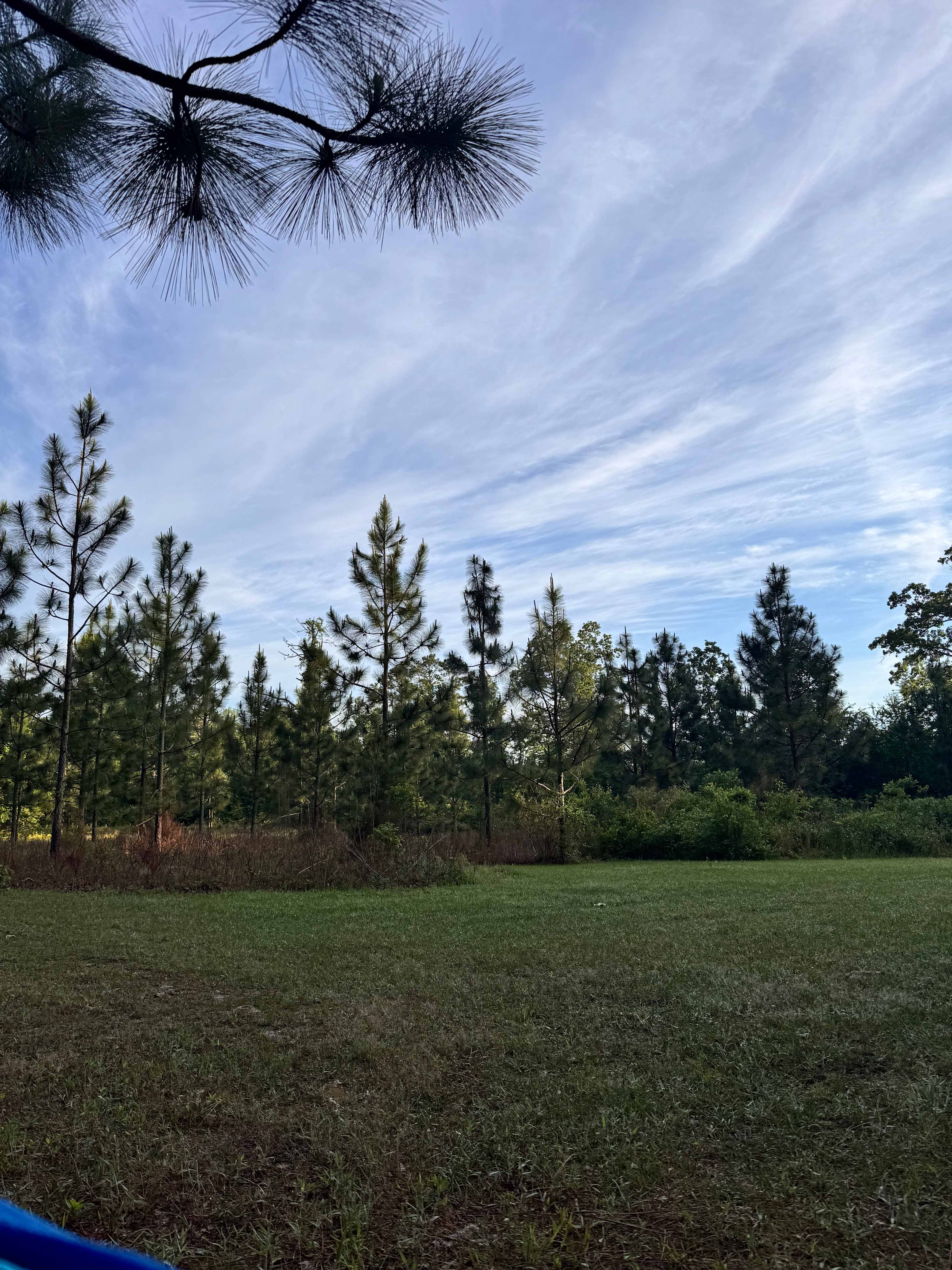 Dennis & Melissa's Hidden Creek