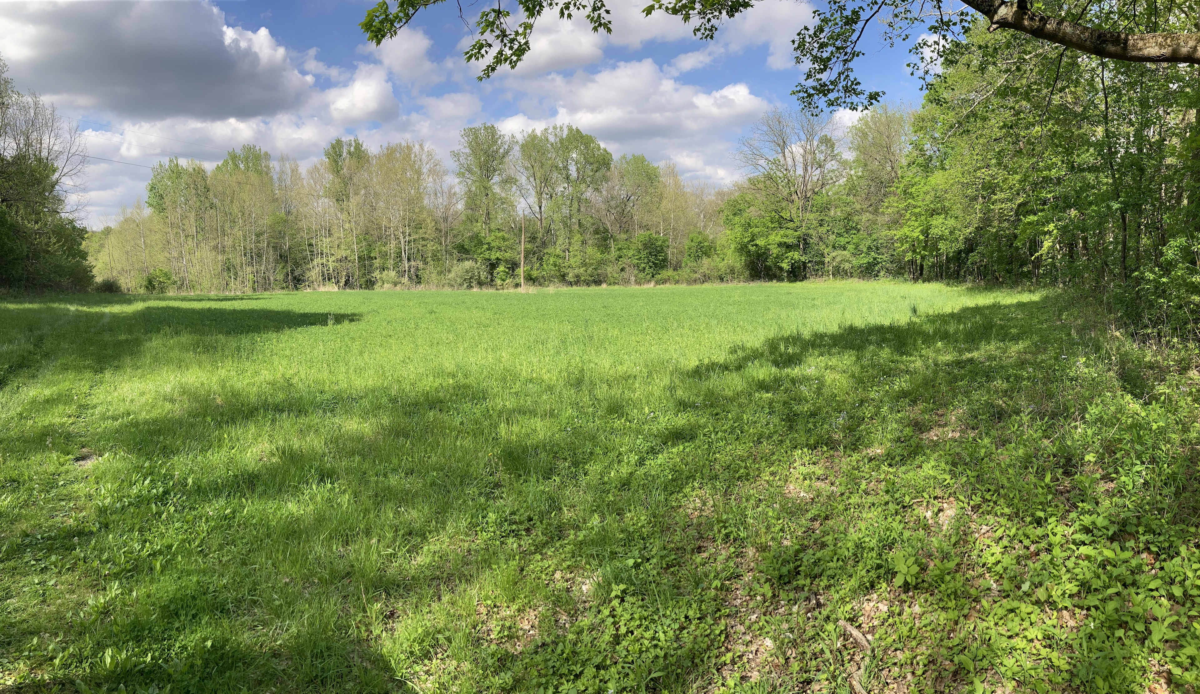 Owl Hollow Campground