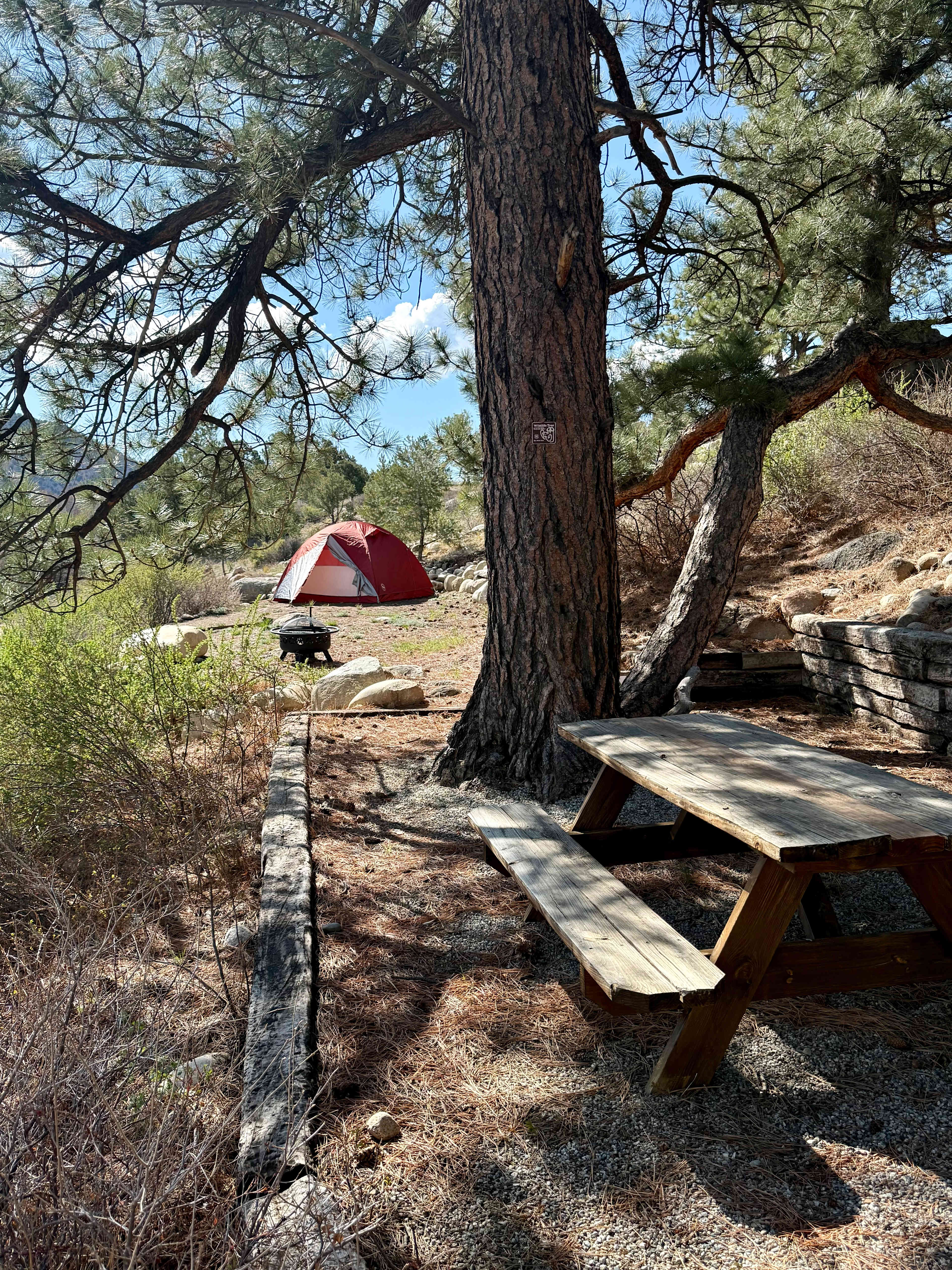 Goodview Campground at RMOC