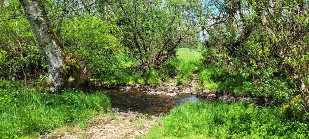 Pleasant Valley RV Park and Campground
