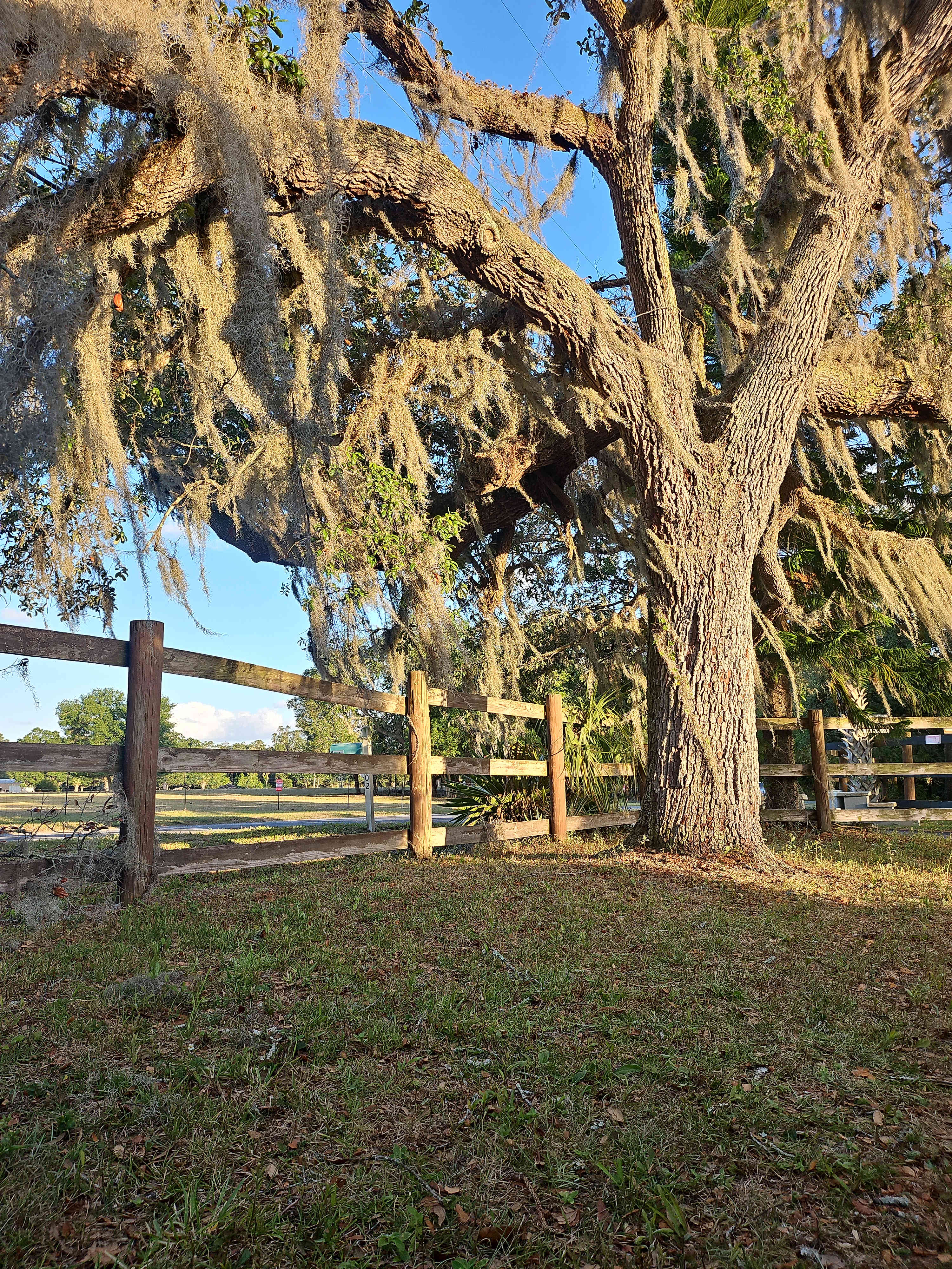 Lovely Acres Of East Orlando