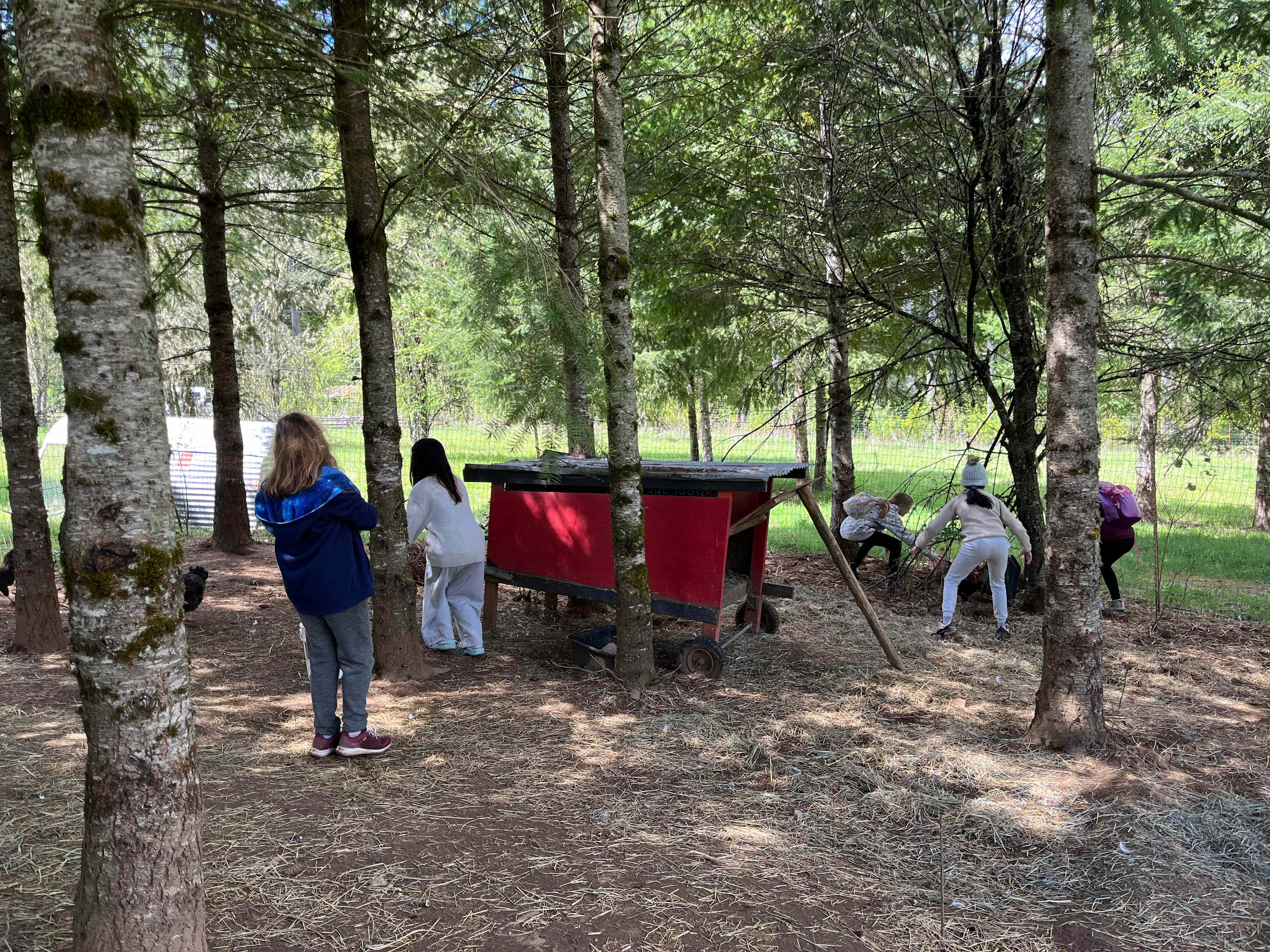 Hoodland Basecamp at Scrumpy Farest