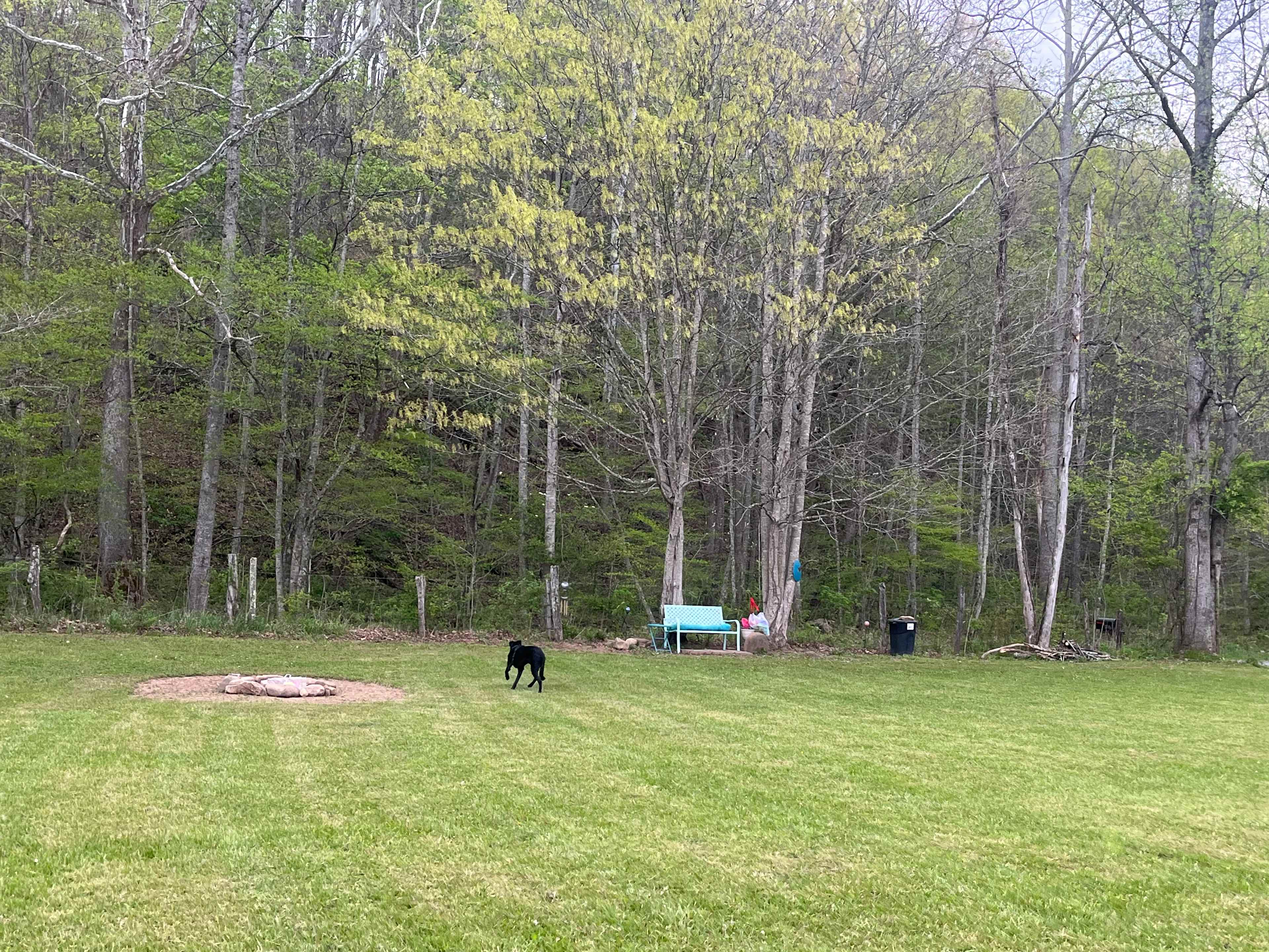 Lick Creek Retreat