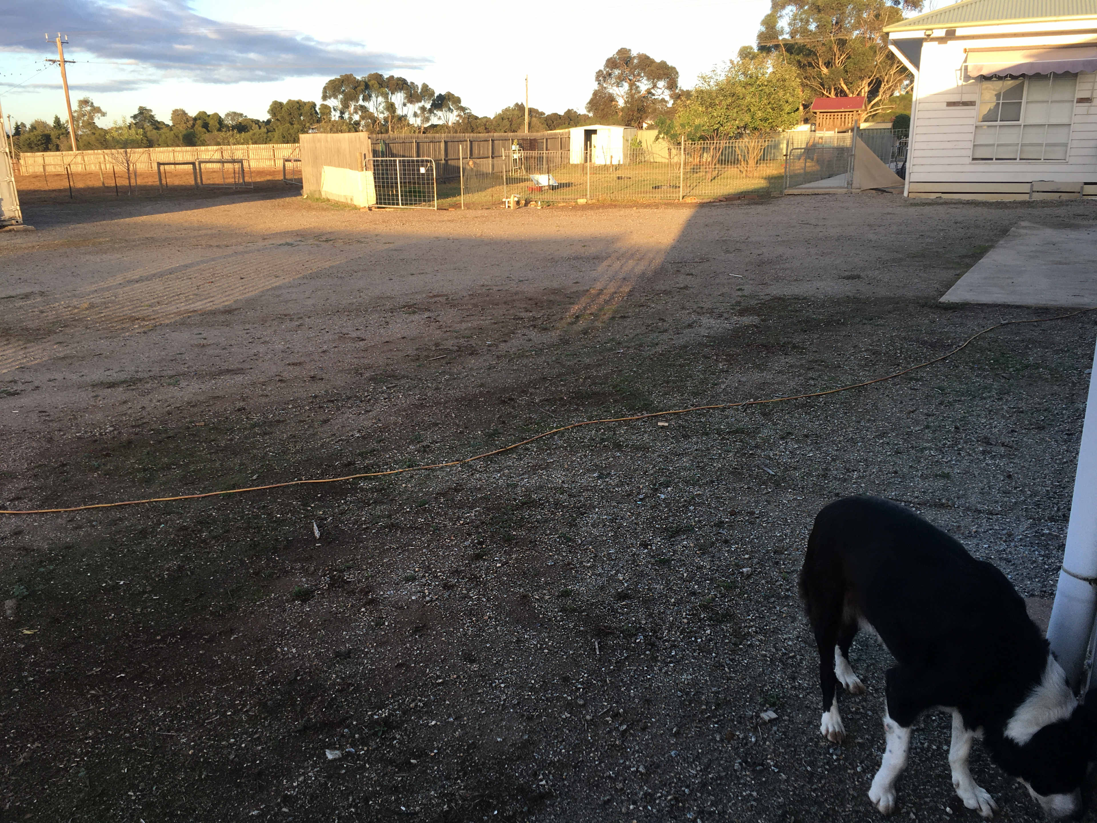 Lara Hobby Horse Centre