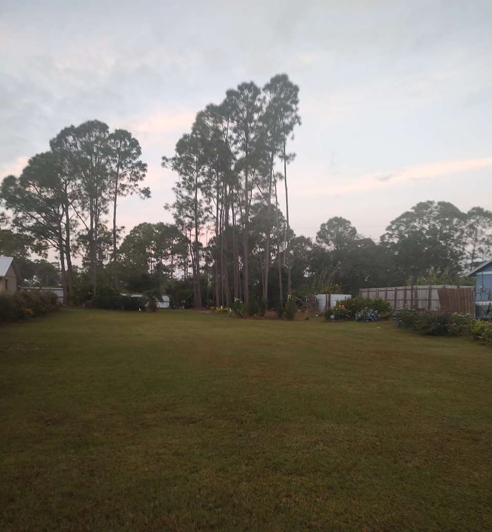 Paradise Found