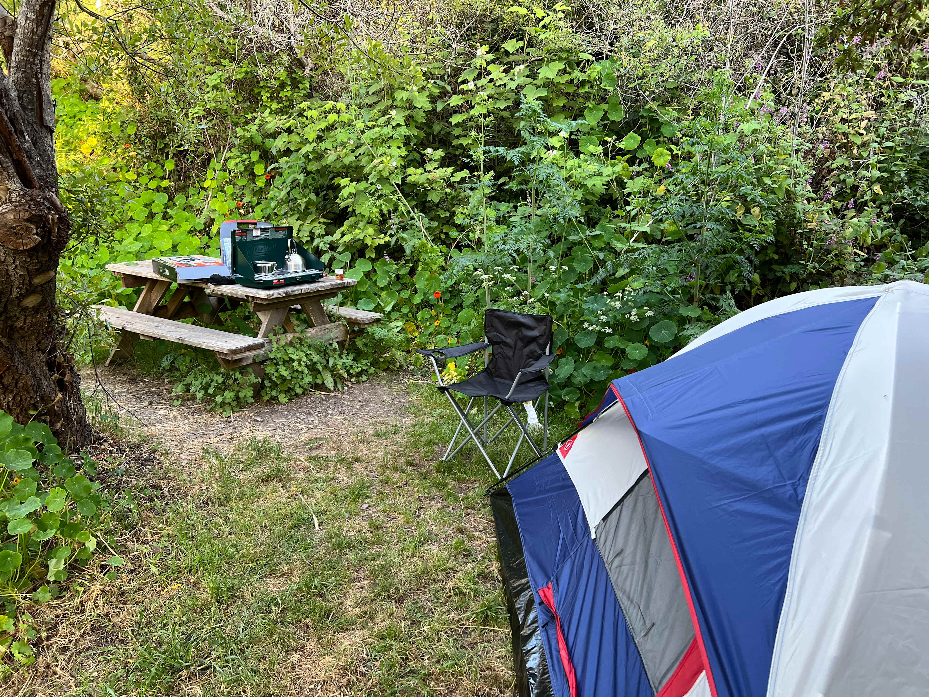 My camp site 
