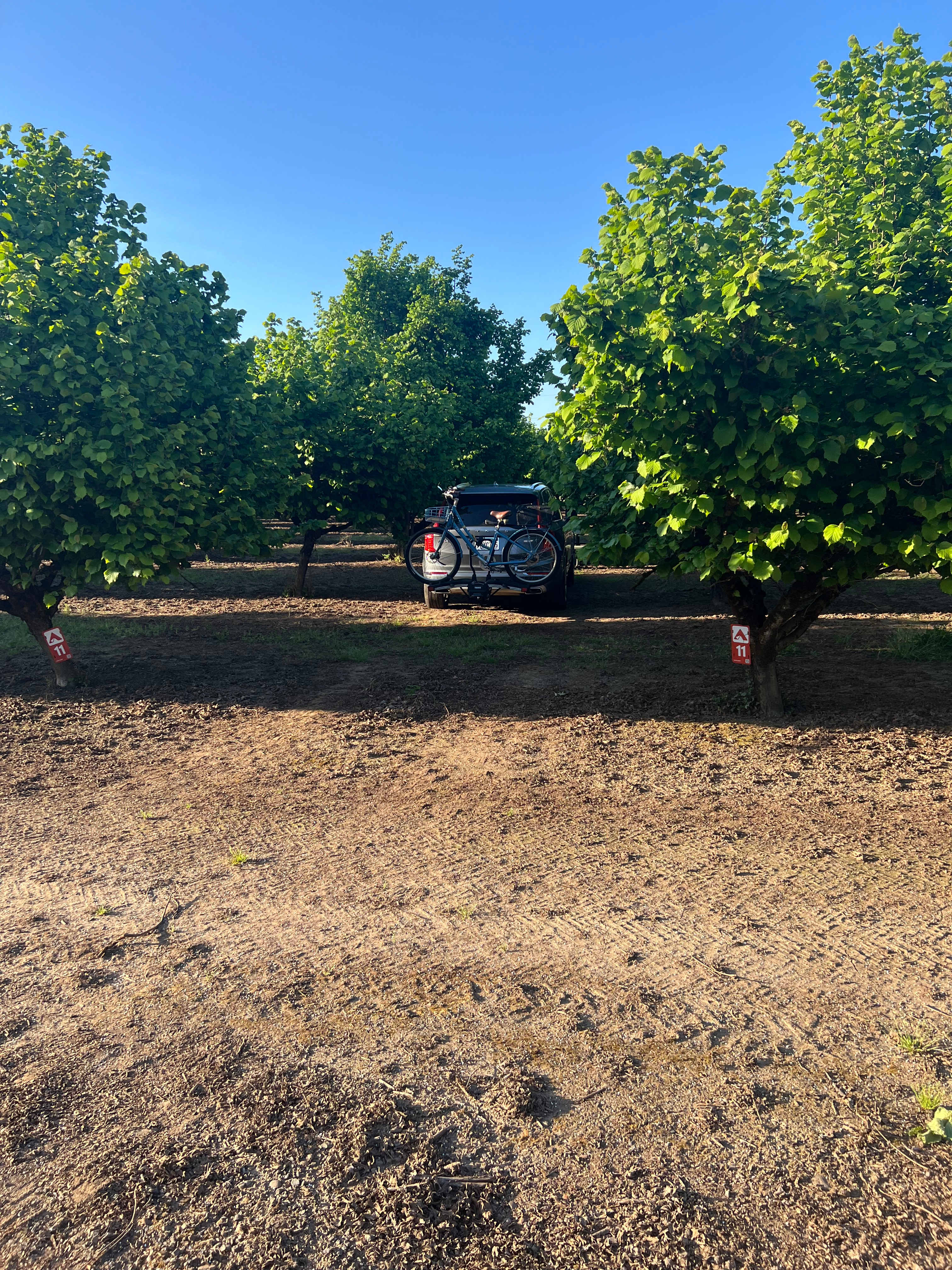 Tranquil Orchards and Wine Tours
