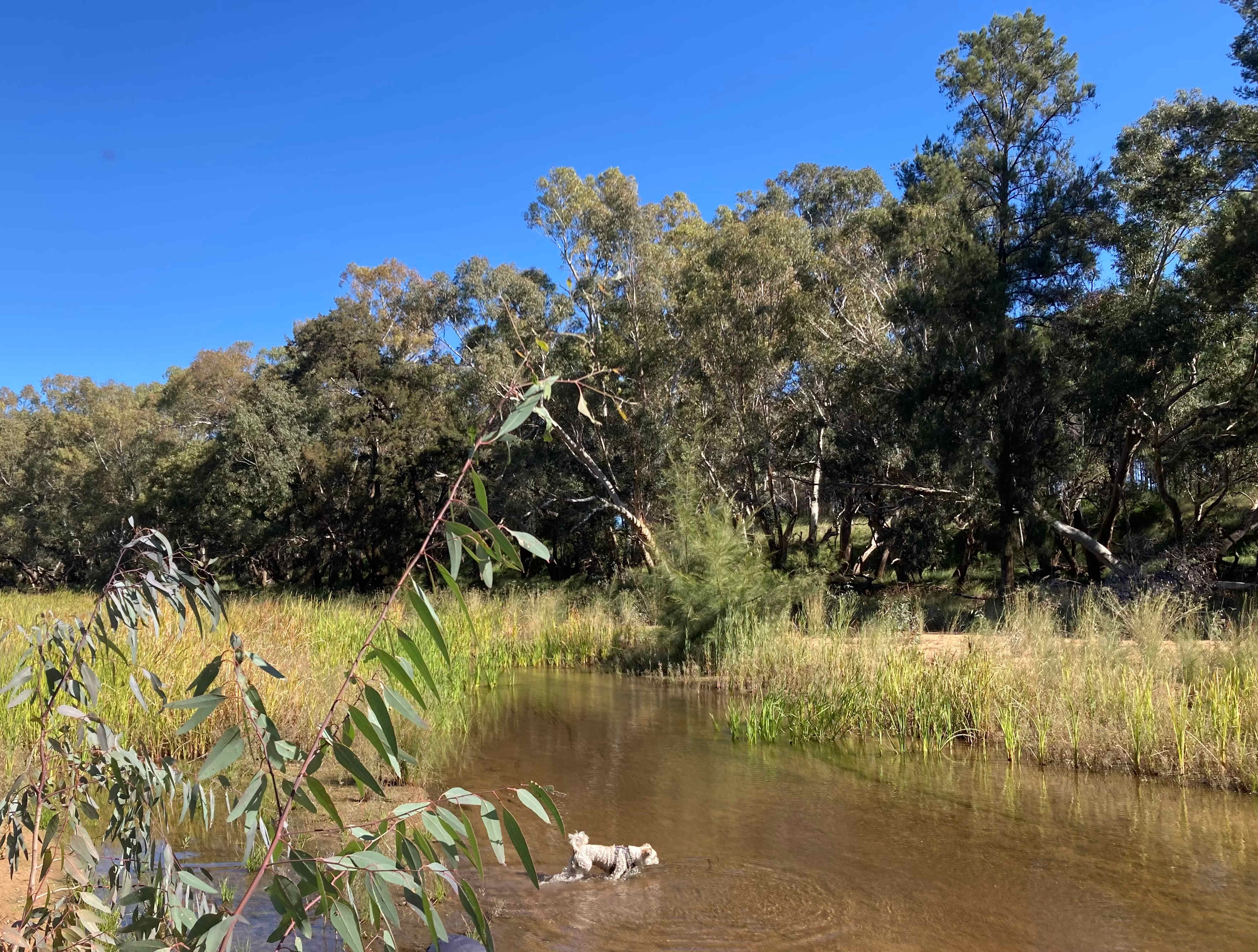 Breelong Valley