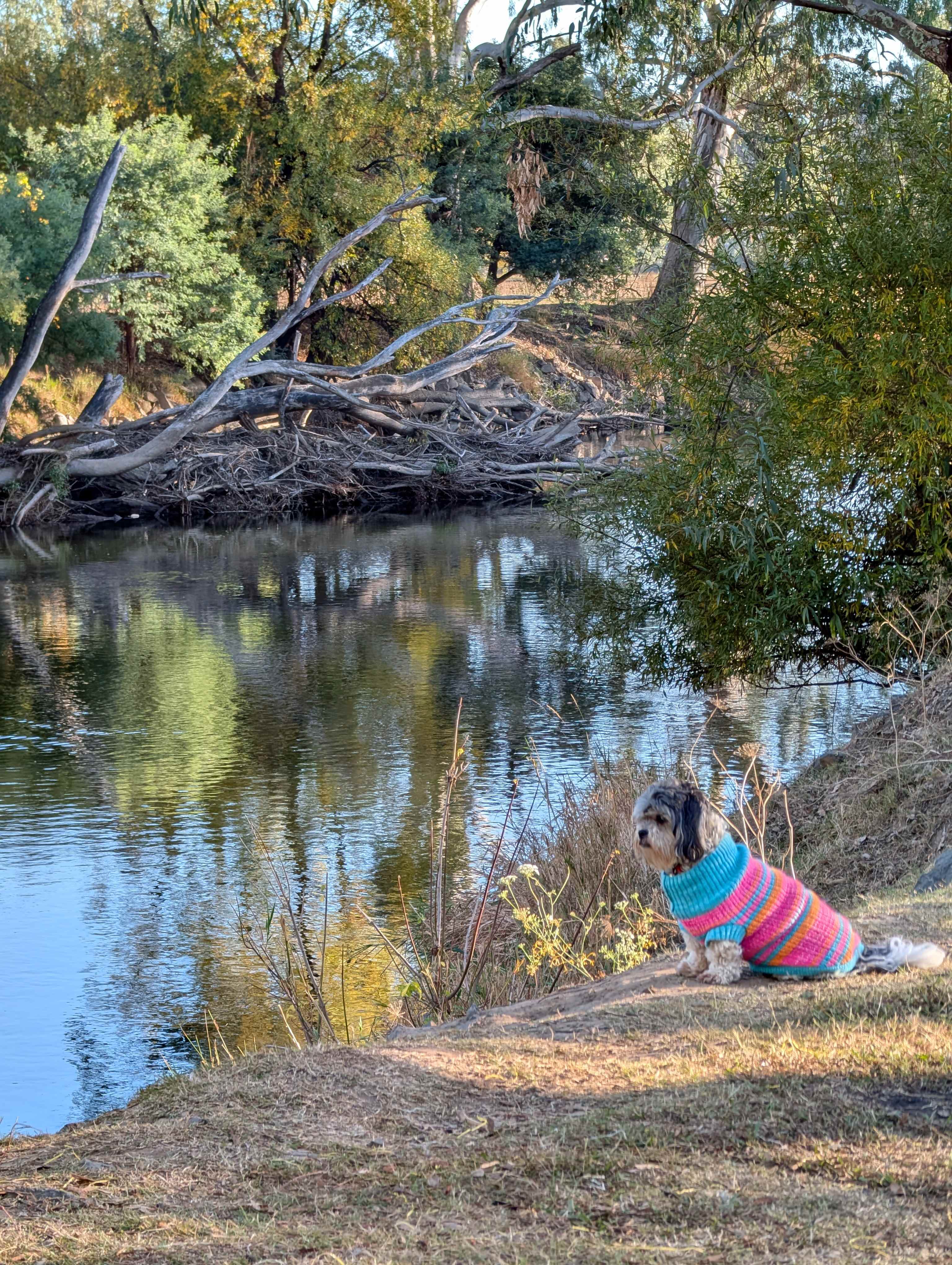 Bahwidgee on Tumut River