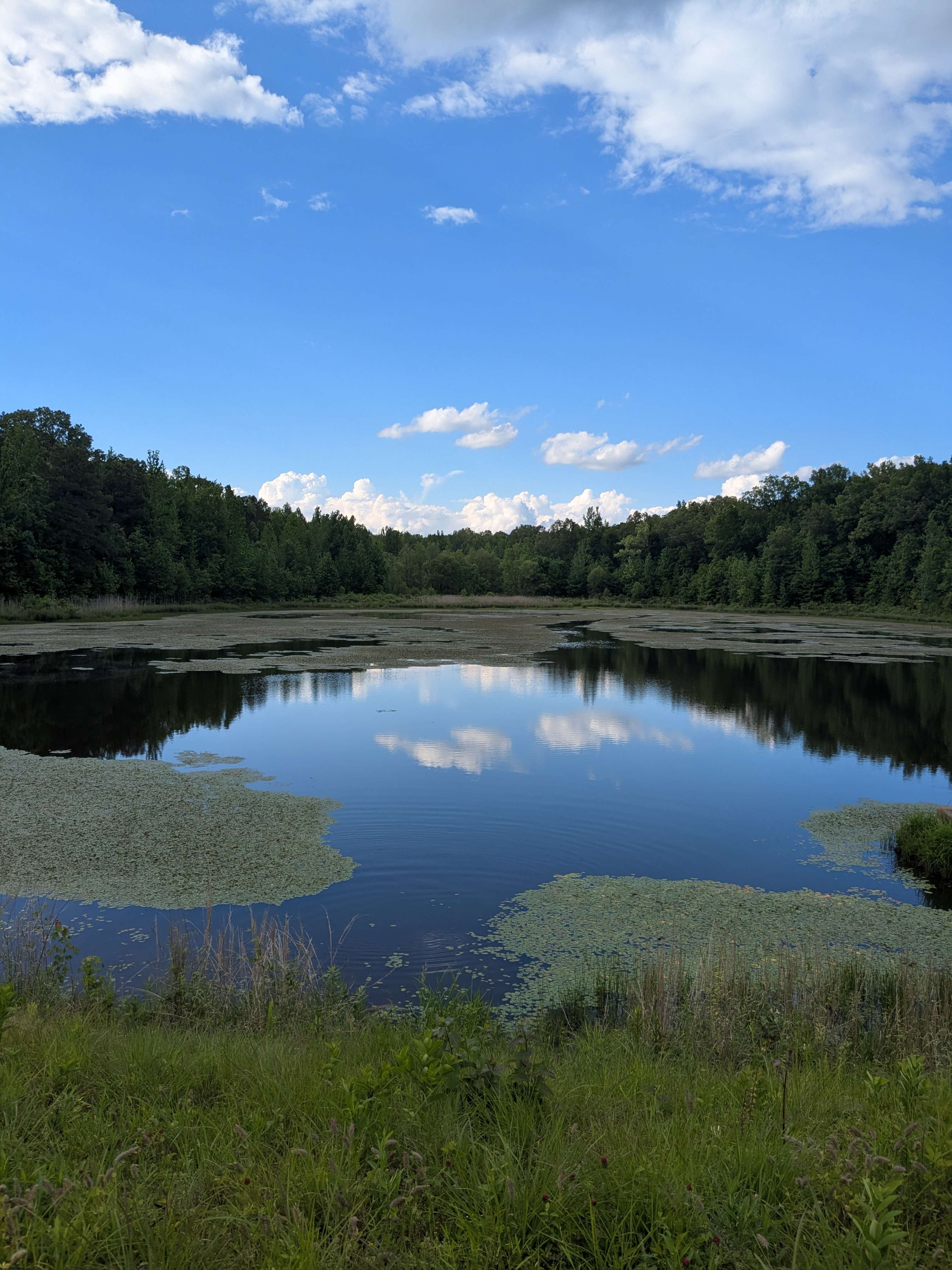 Twin Lakes