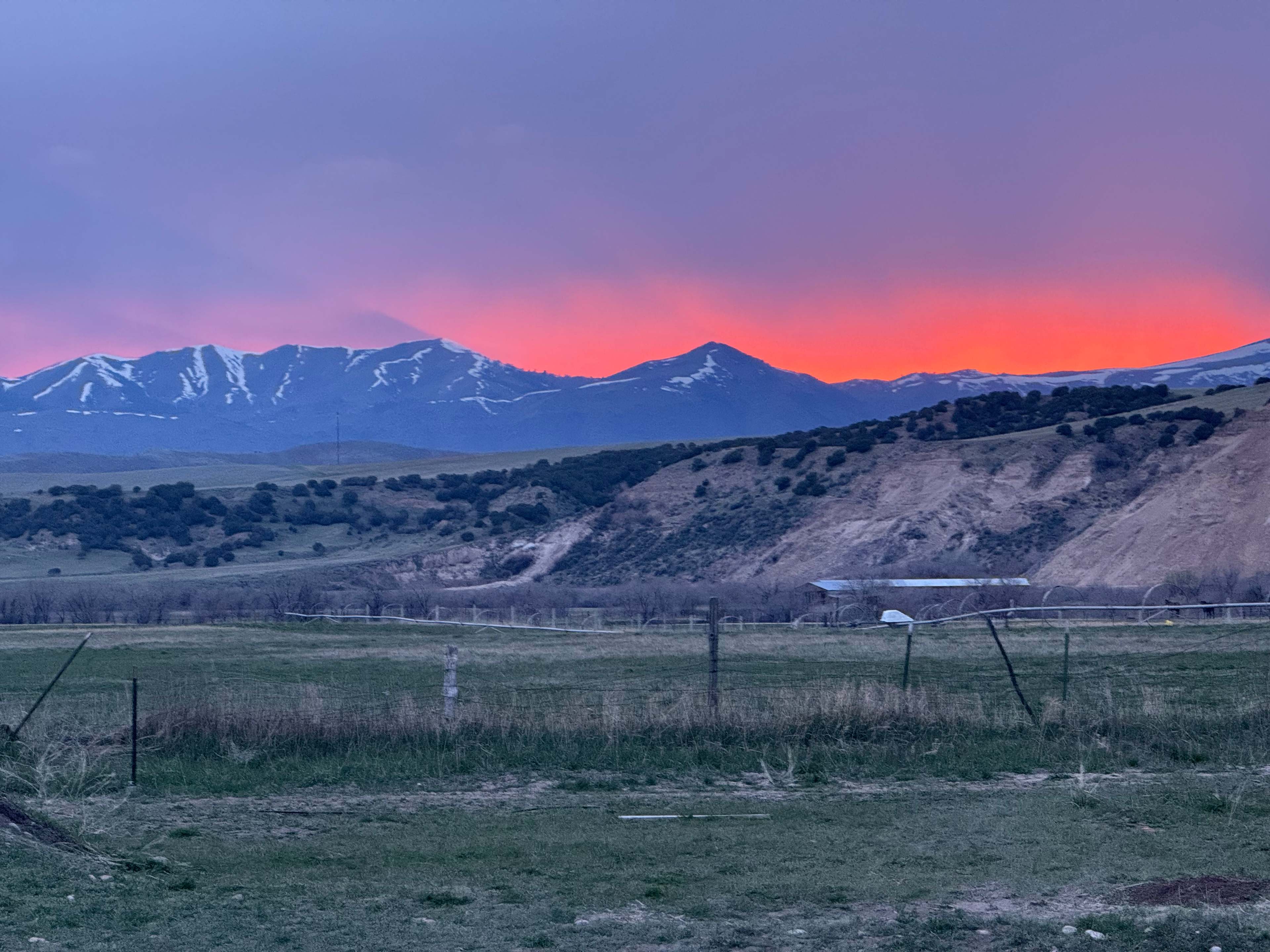 Evening Ranch