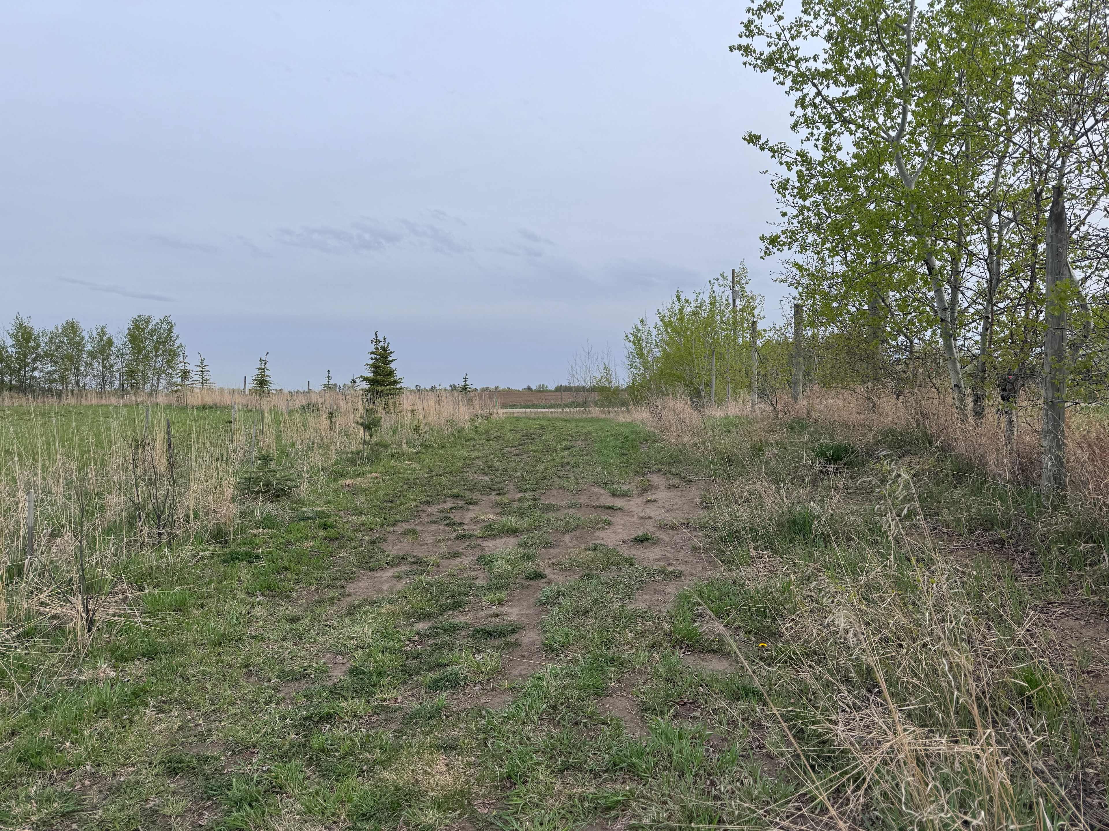 Dirt Road that lead to back camping area.
