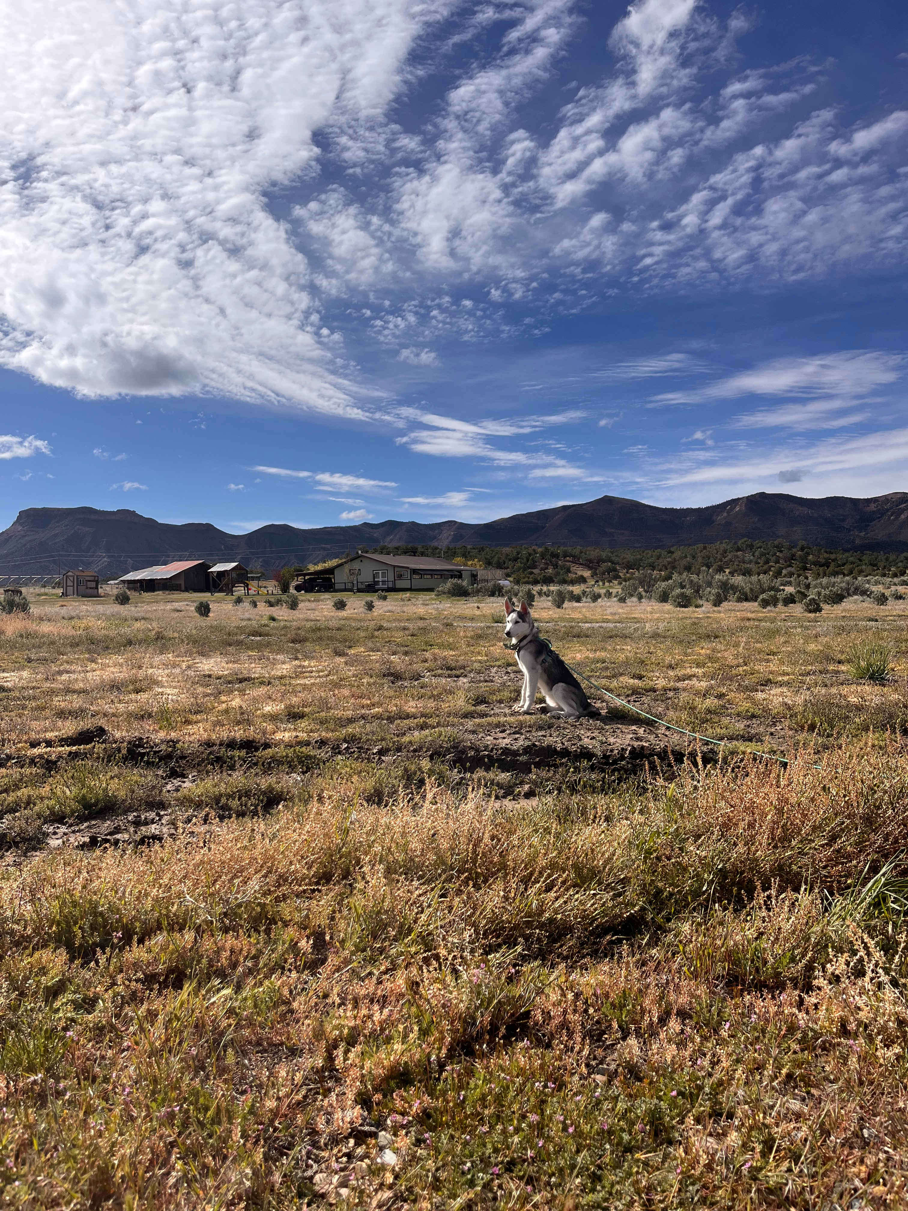 Bright Star Campground