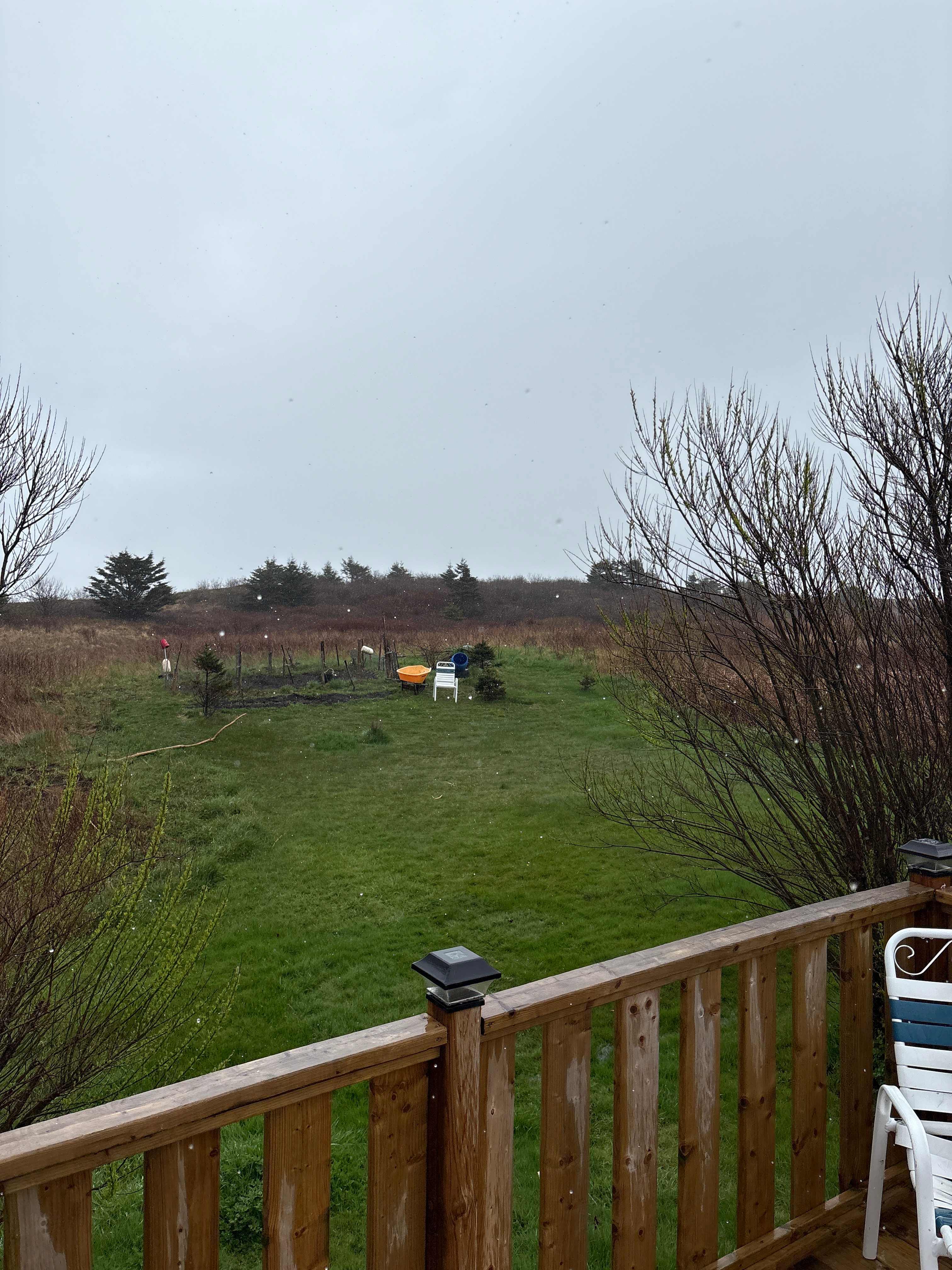 Brier Island on the Bay of Fundy
