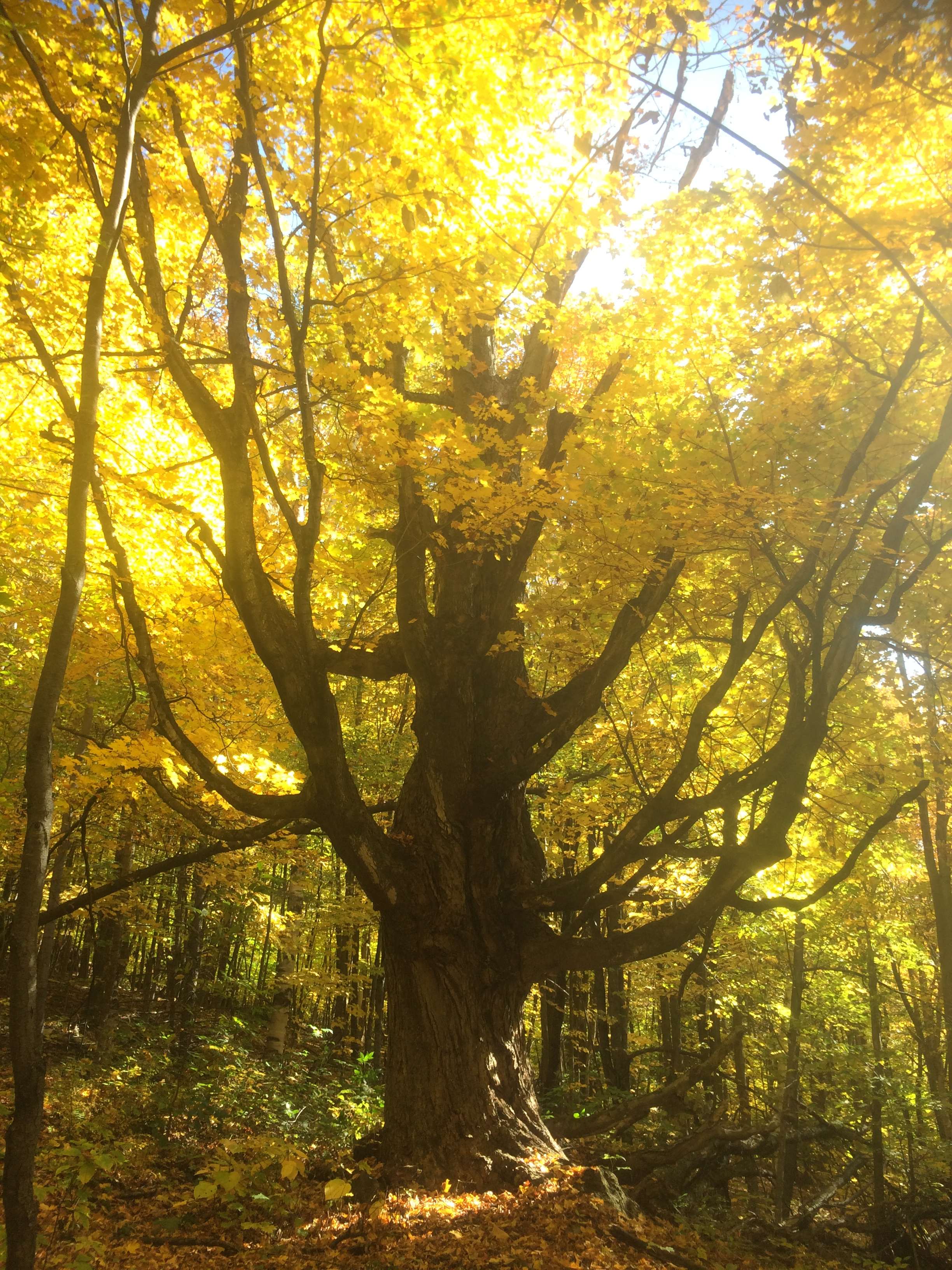 HOWL Women & Gender Justice Retreat