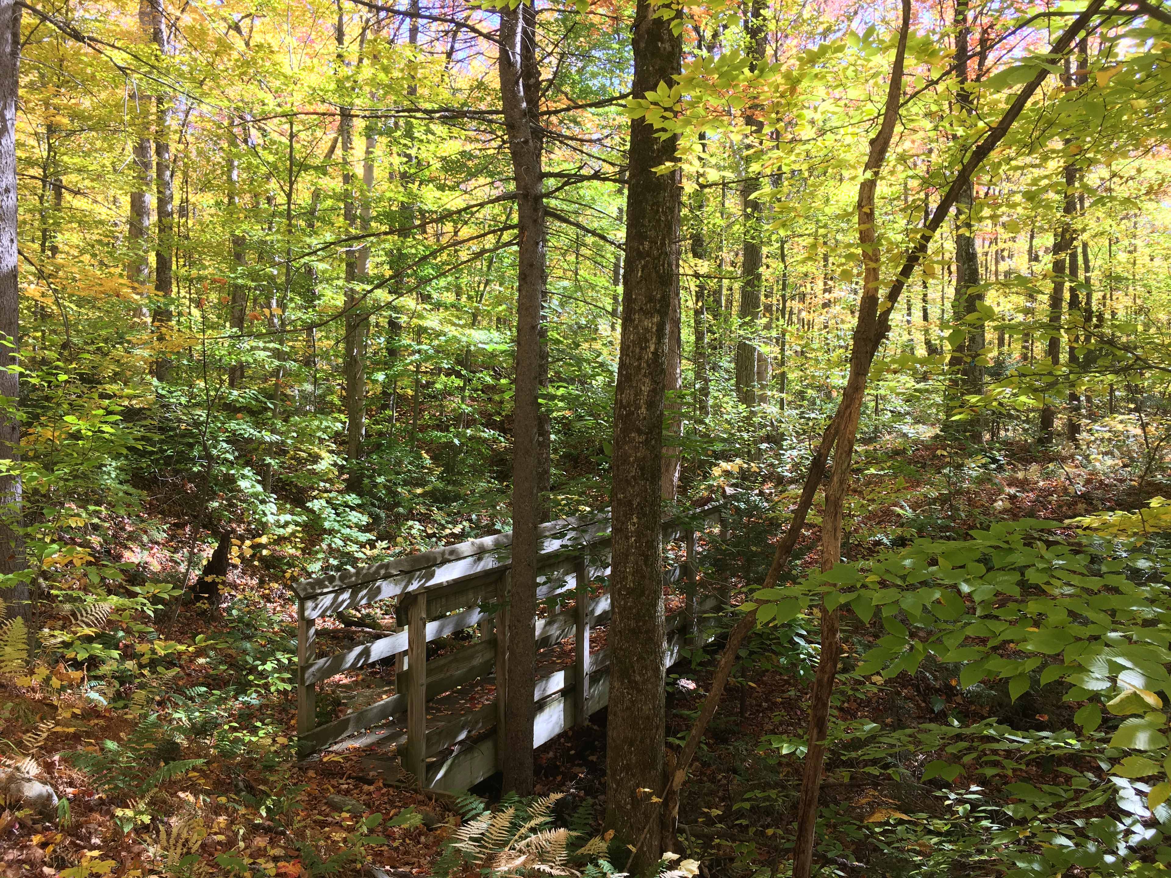 HOWL Women & Gender Justice Retreat