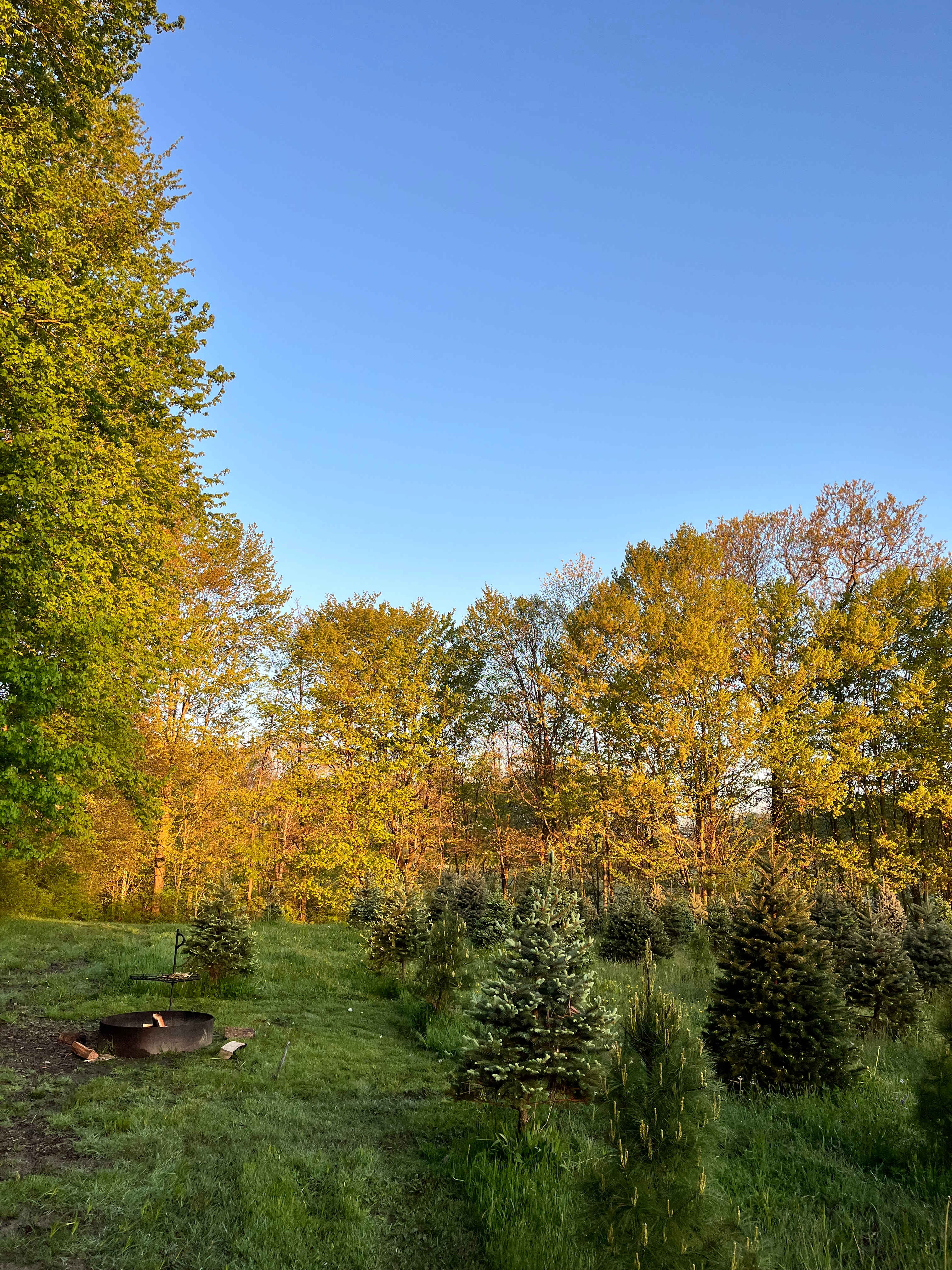 Camping at Heritage Farms