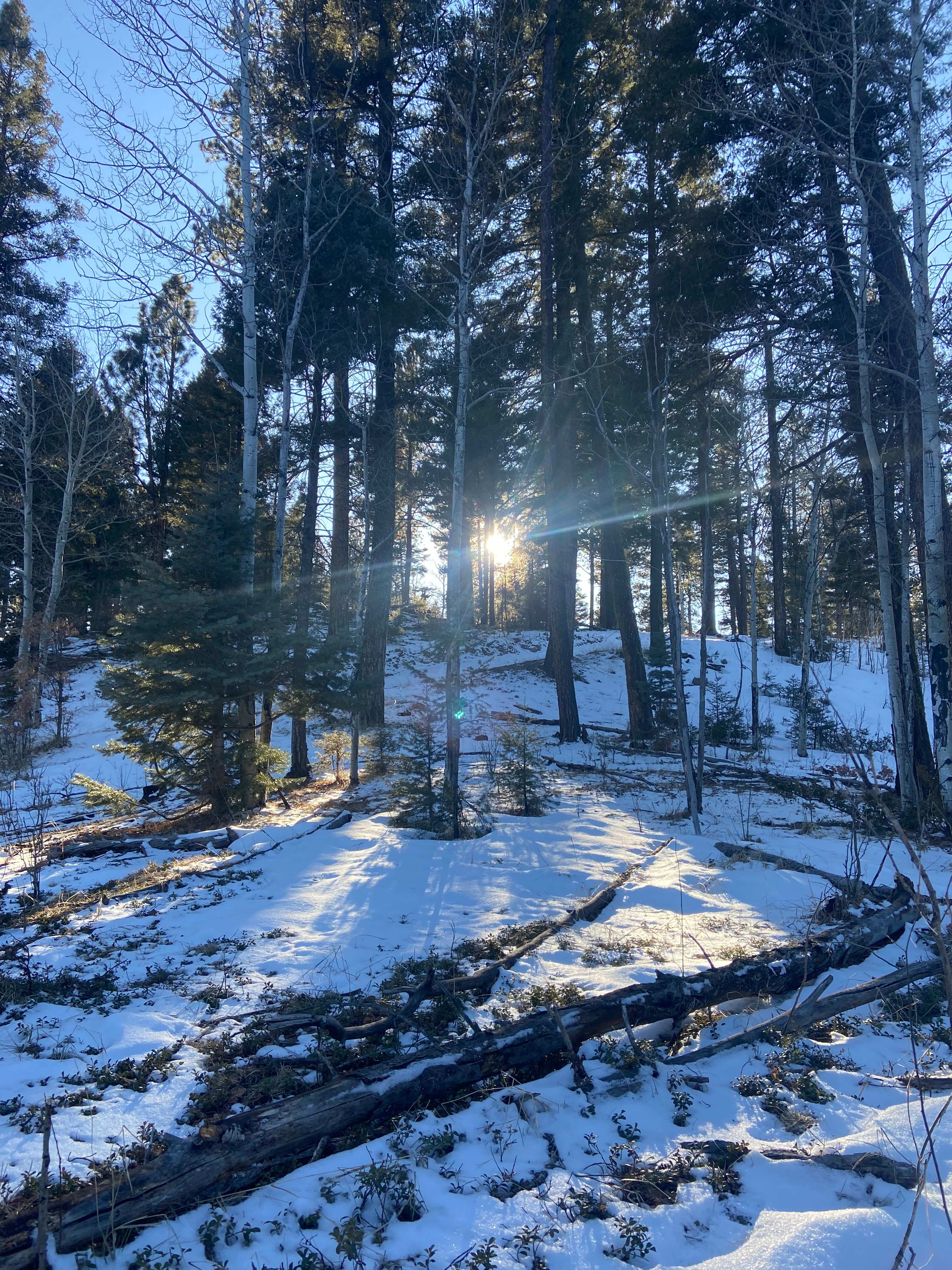 Jemez Mountains A-Frame Cabin