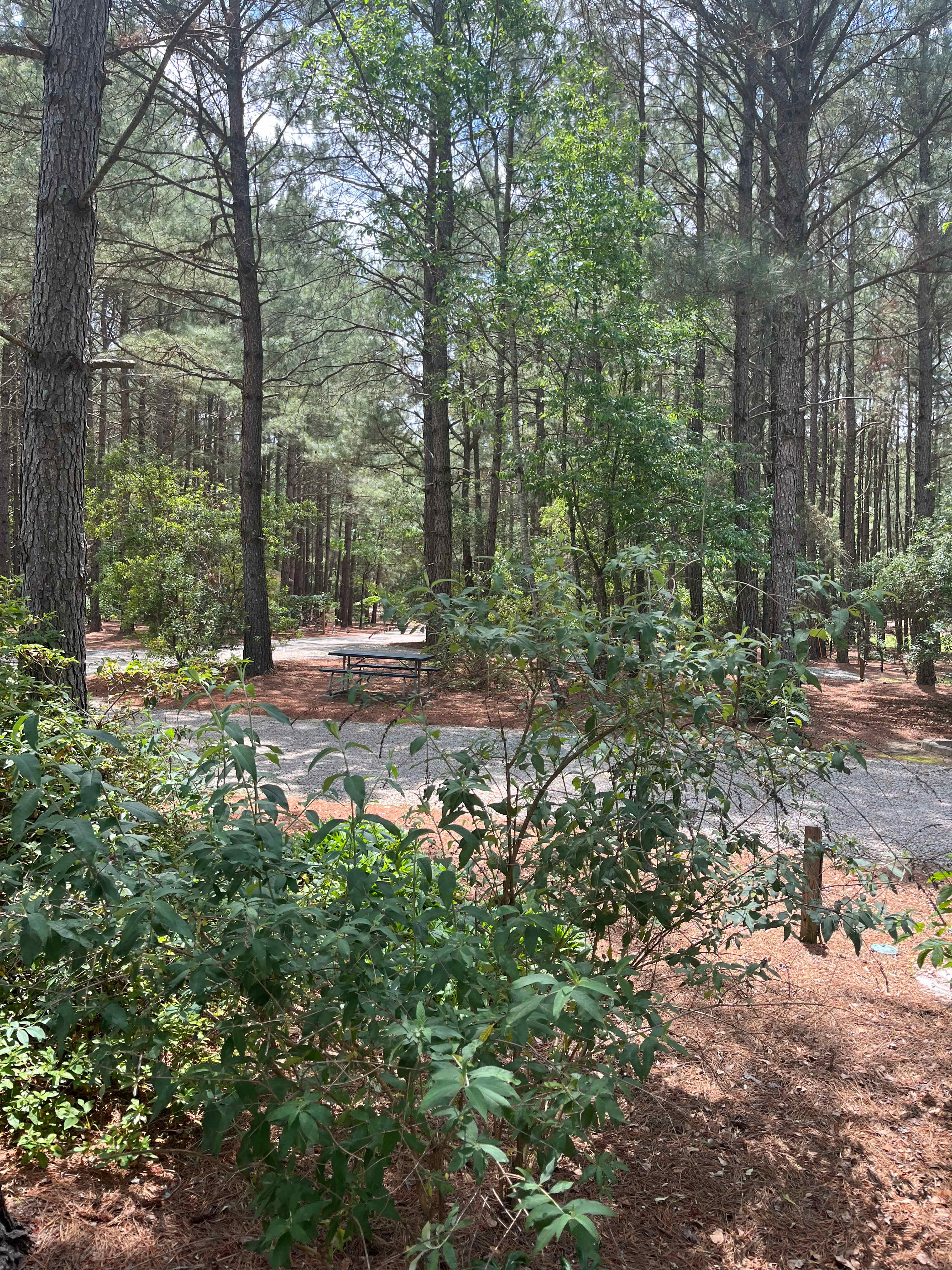 Cedar Creek Campground at Elease