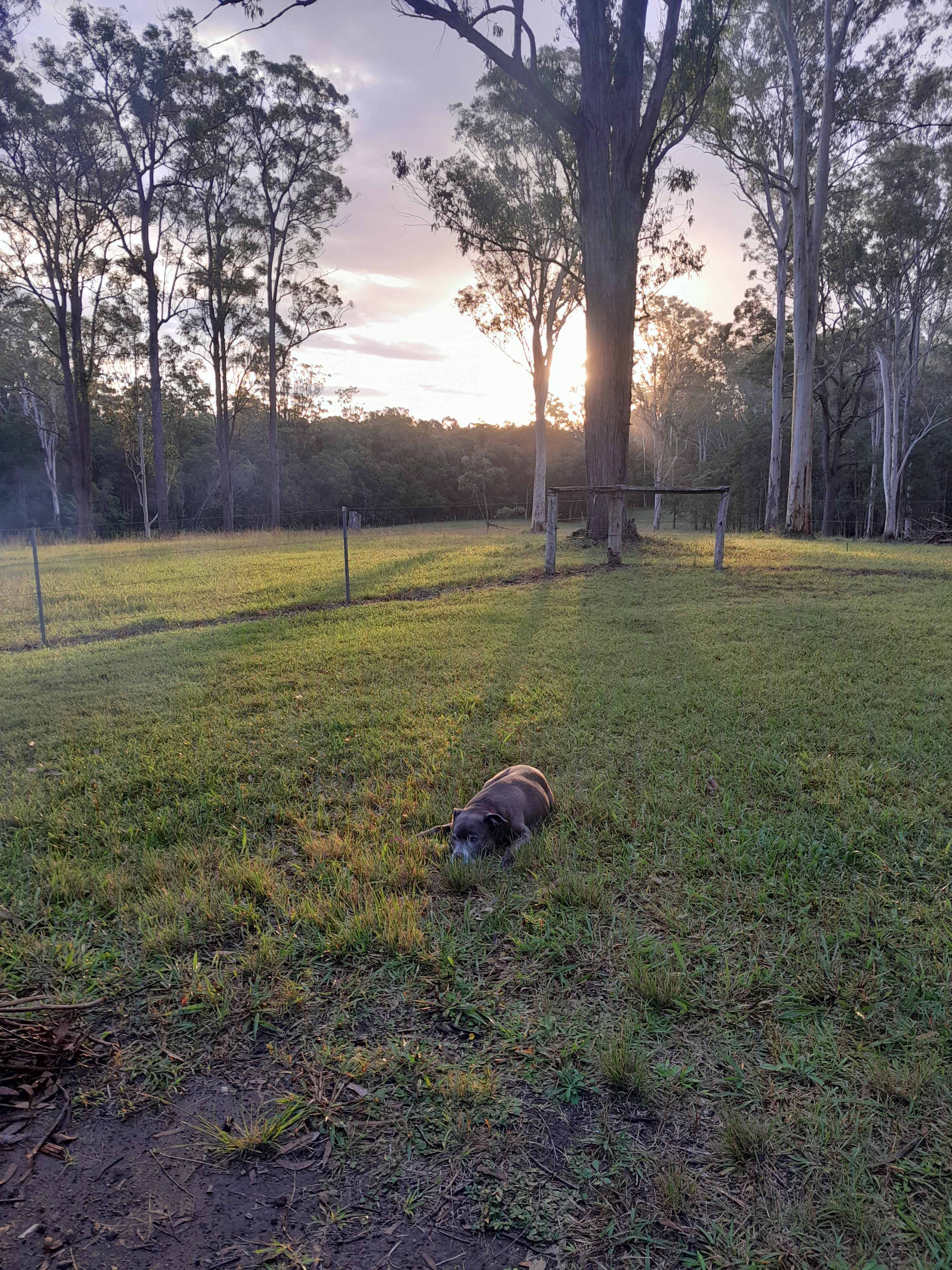 Halfway Creek Acres