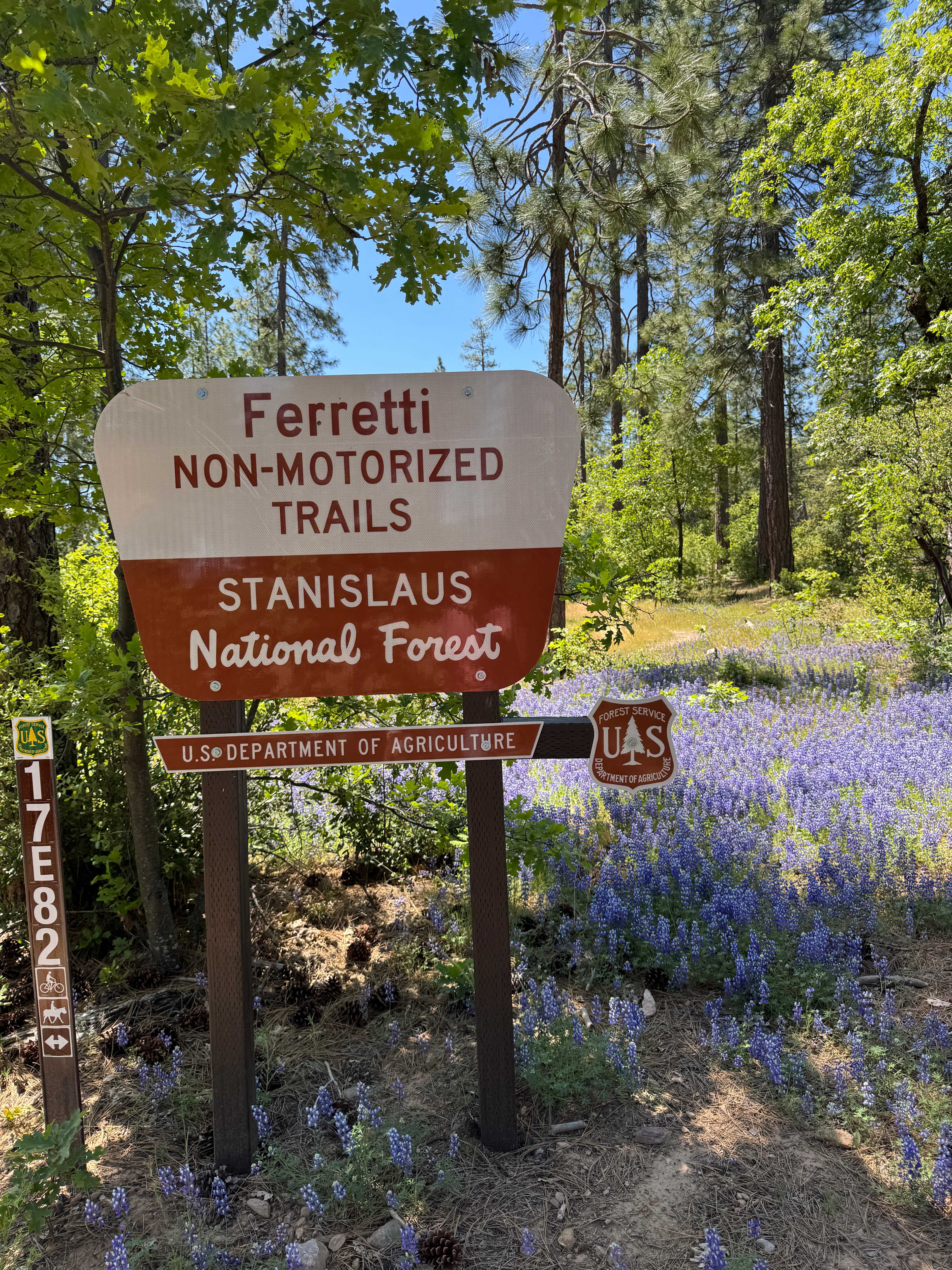 Forest trails right off of Ferretti Road