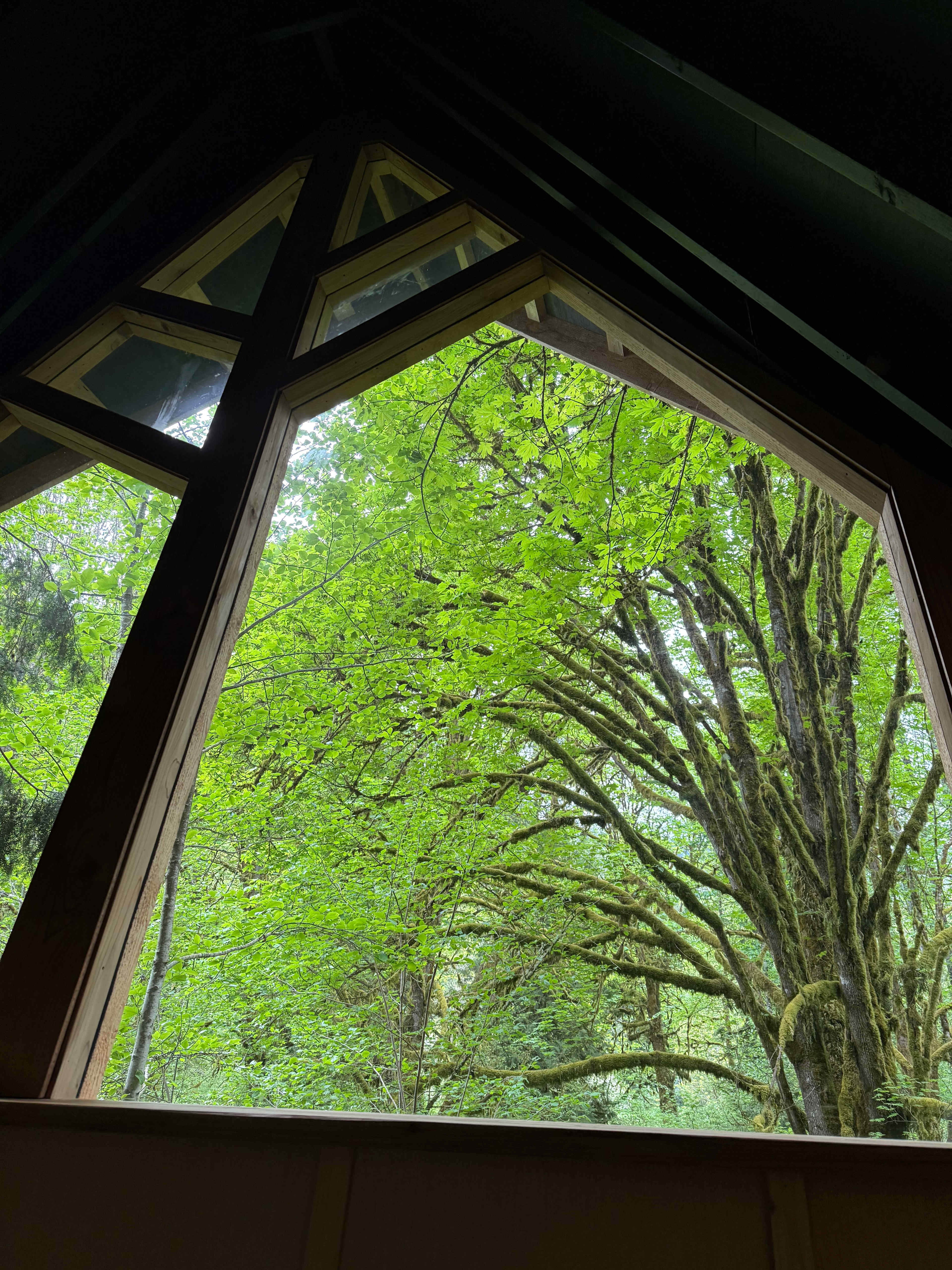 Samara Farm Treehouses