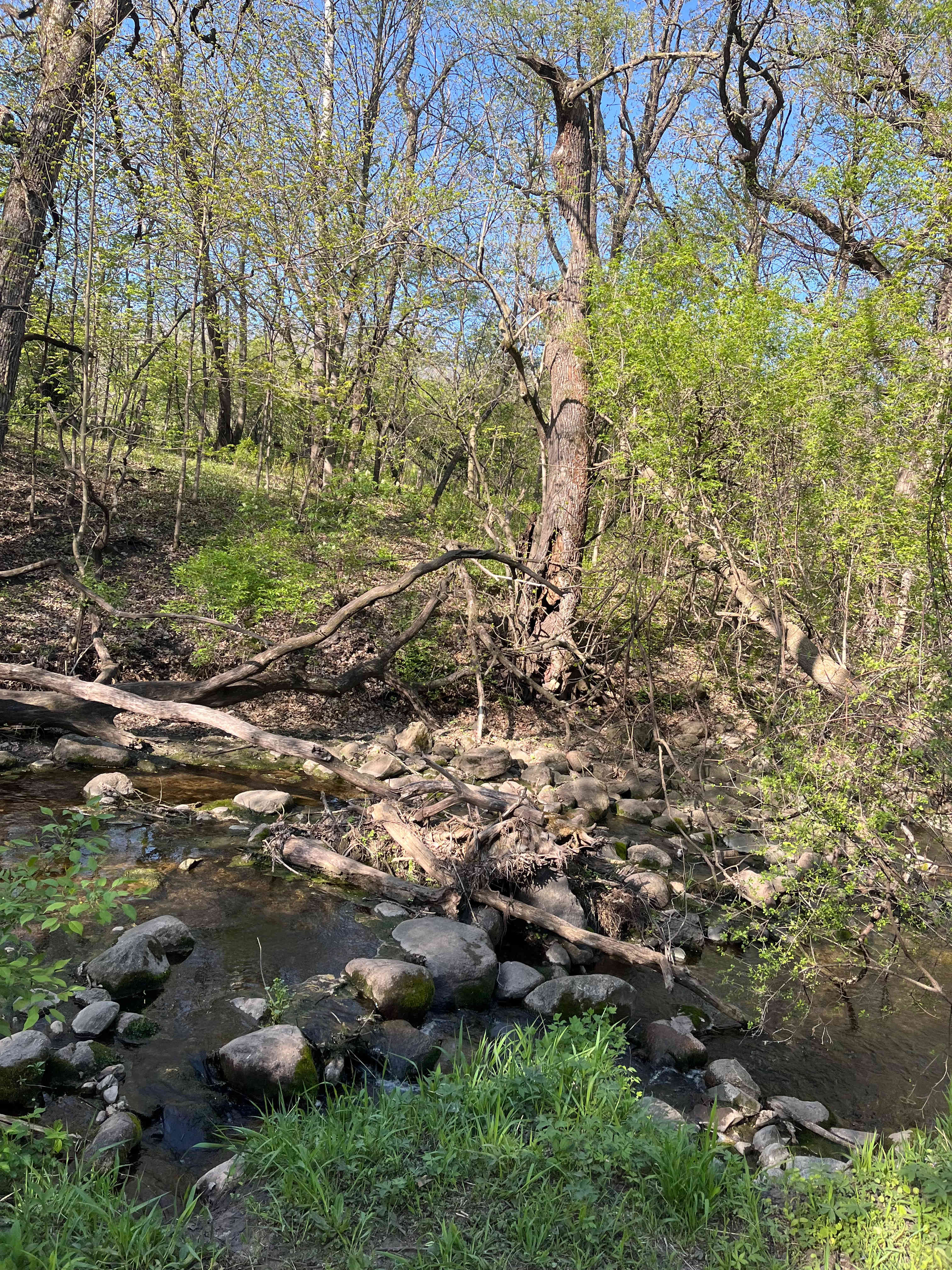 Prairie Creek Campground