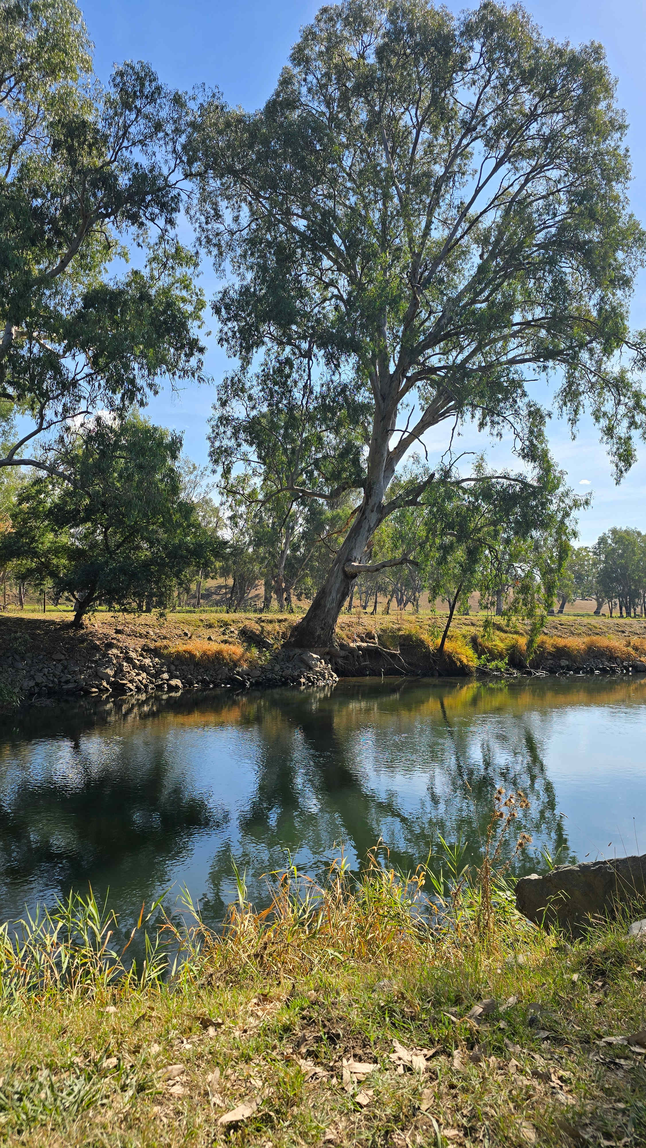 Bahwidgee on Tumut River