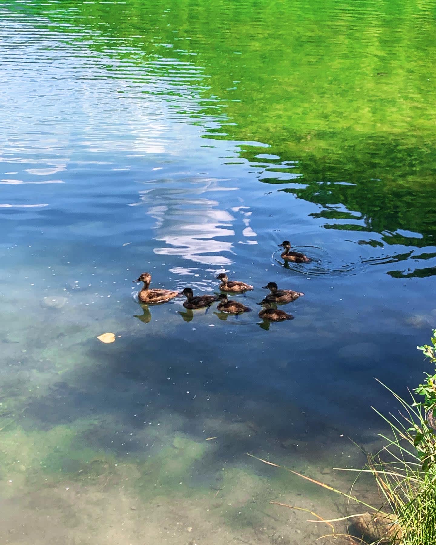 Rosebud Lake Campground Resort