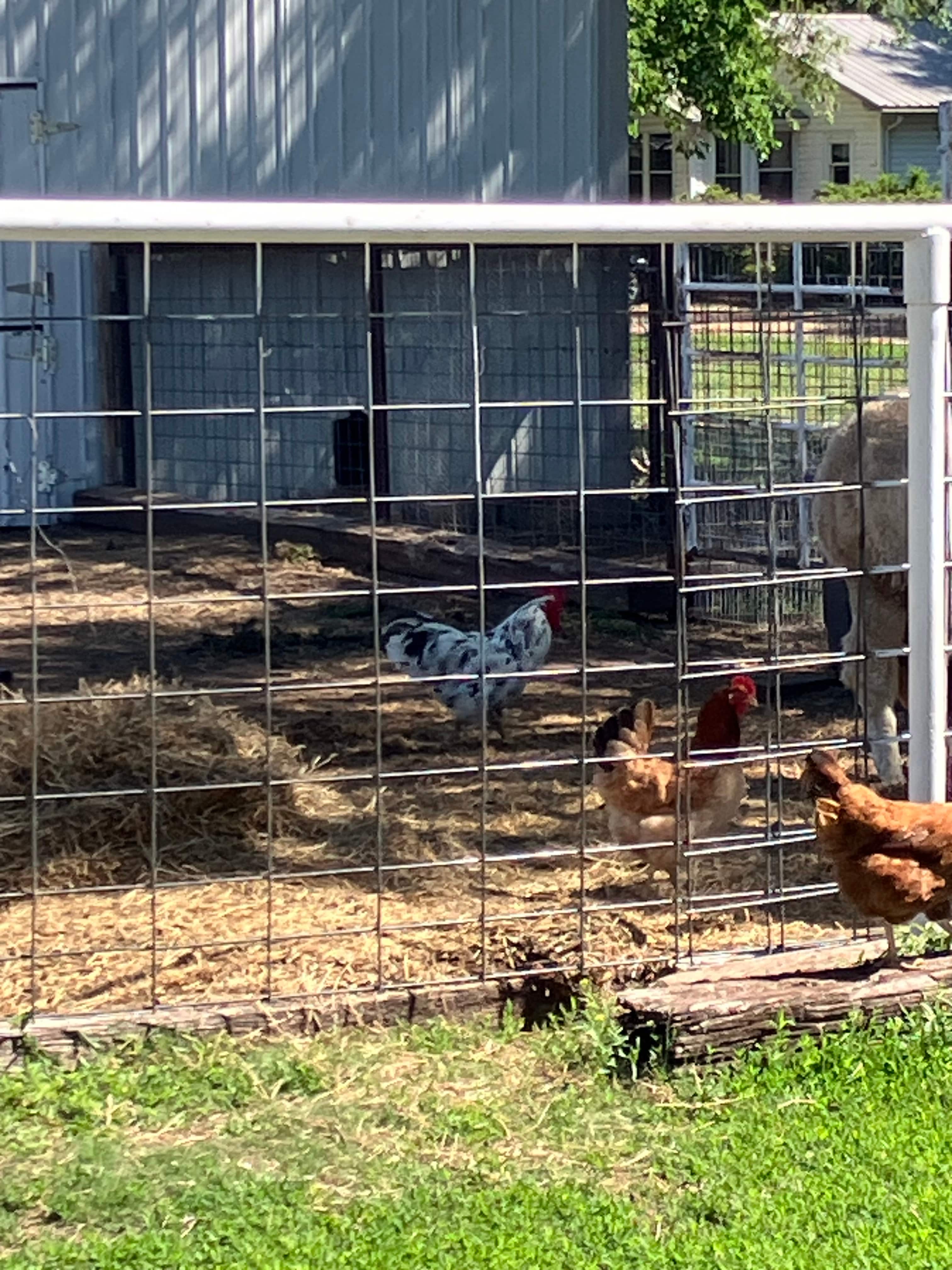 The Farm at Yoder