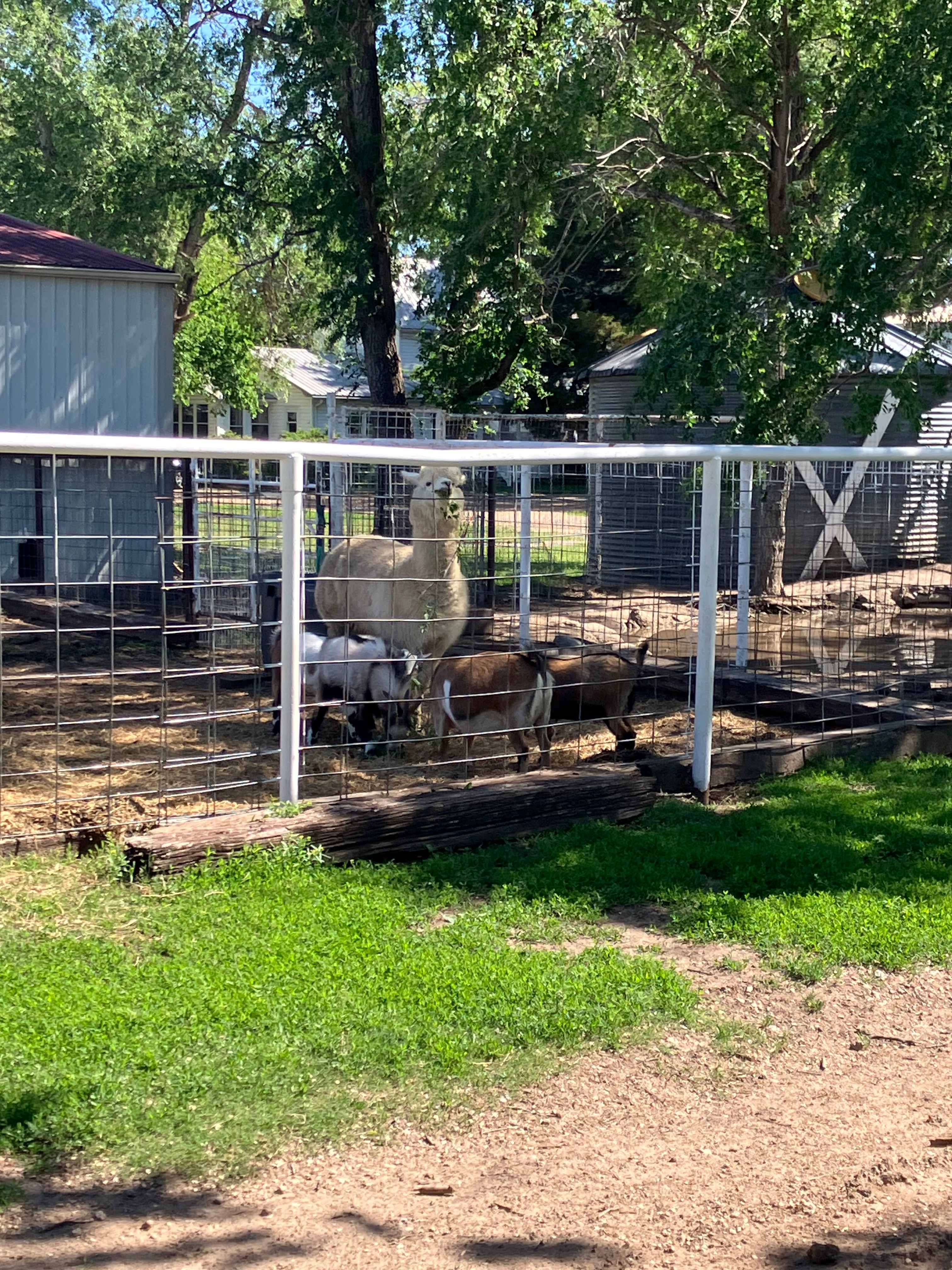 The Farm at Yoder