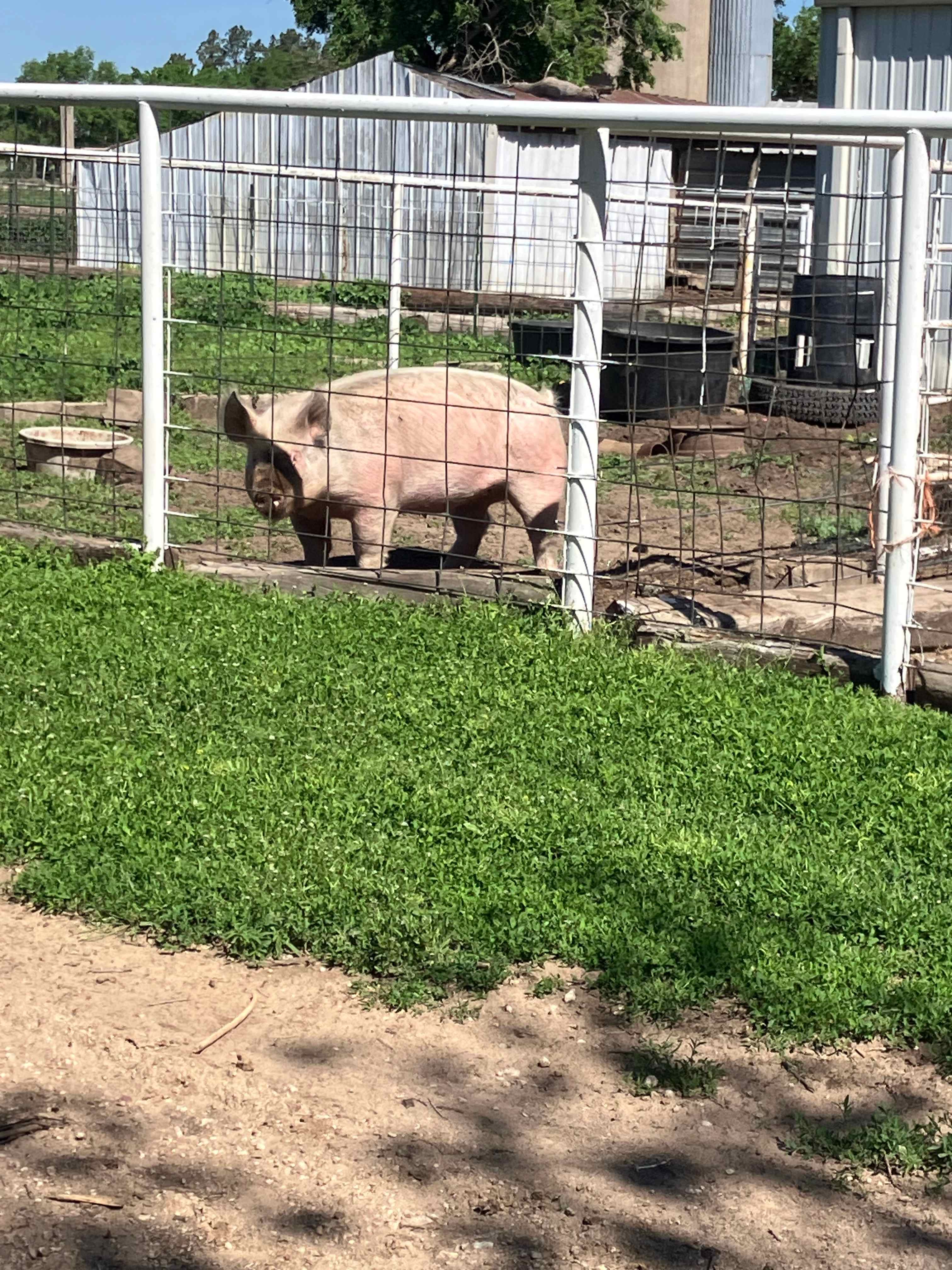 The Farm at Yoder
