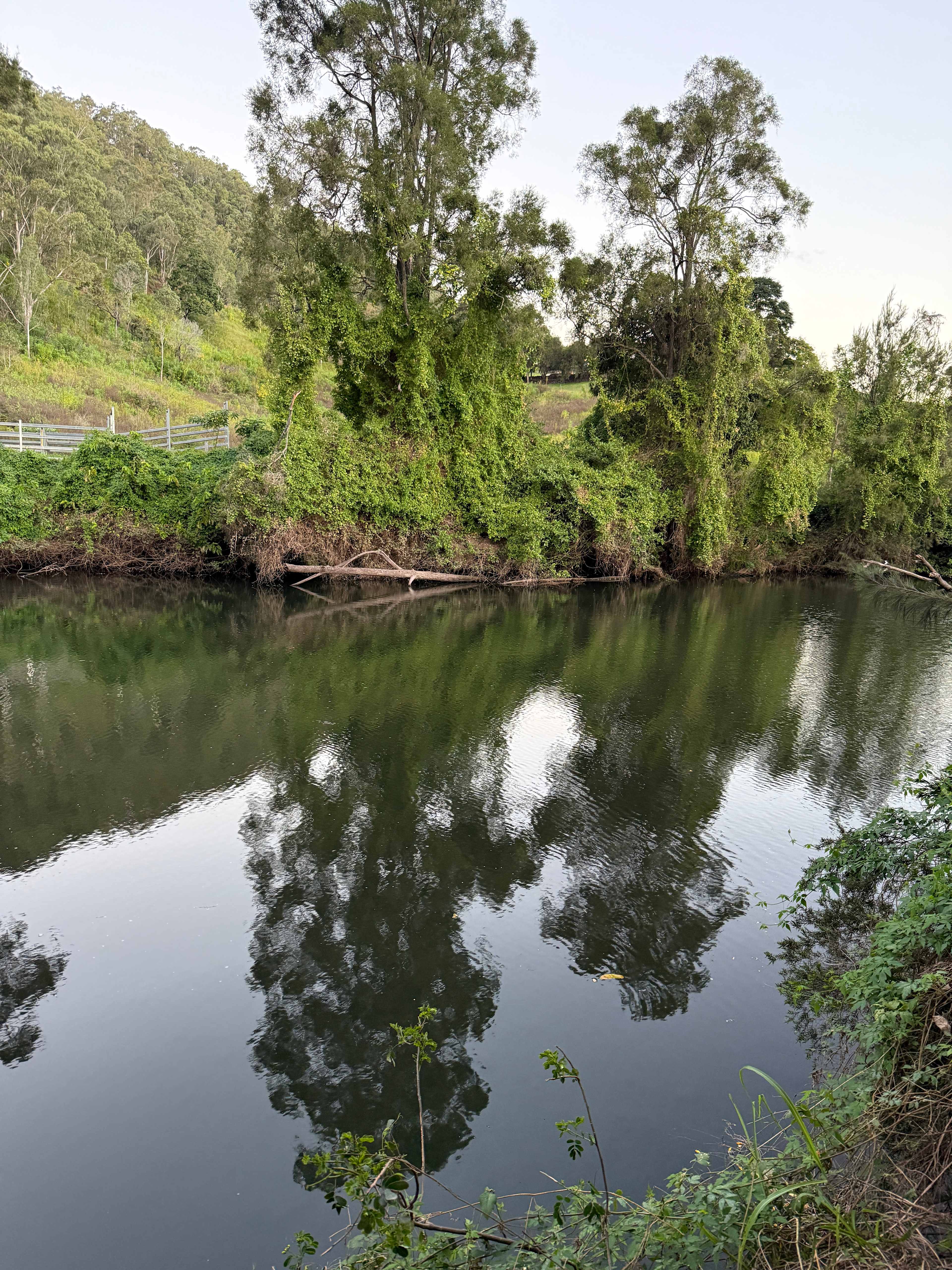 Lovely creek