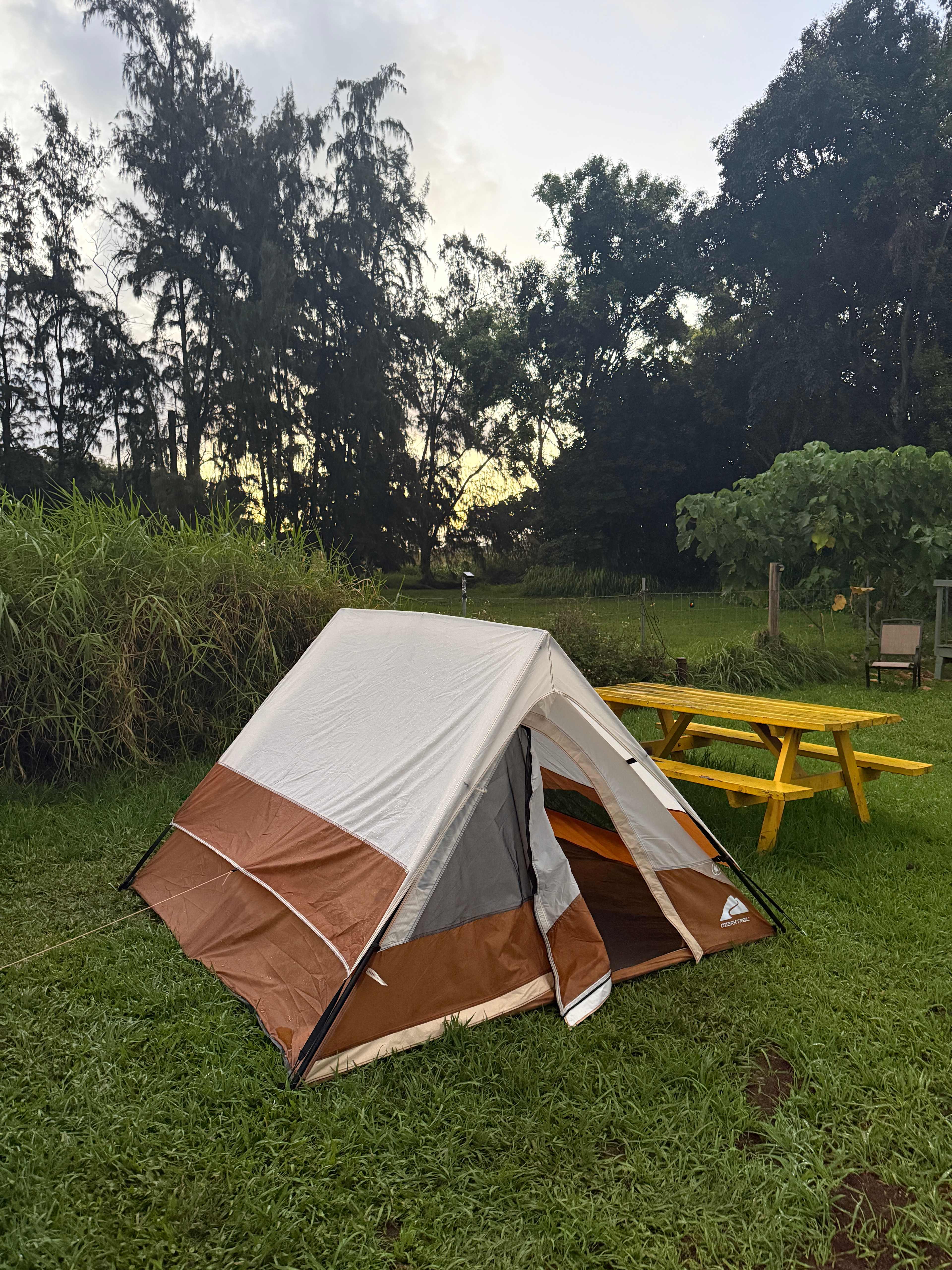 Maleka Farm: Camper-van & Tent