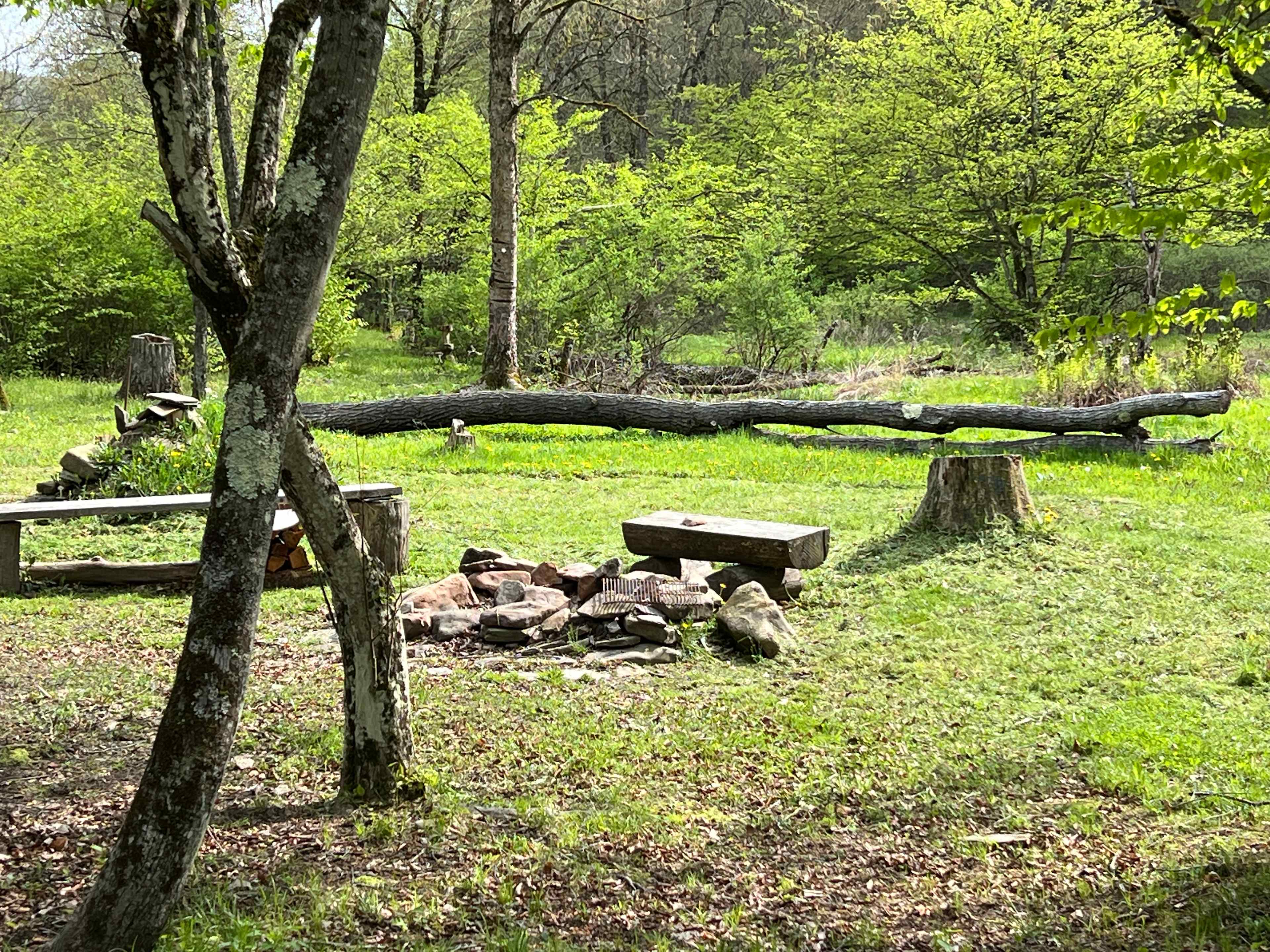 Picture of the site