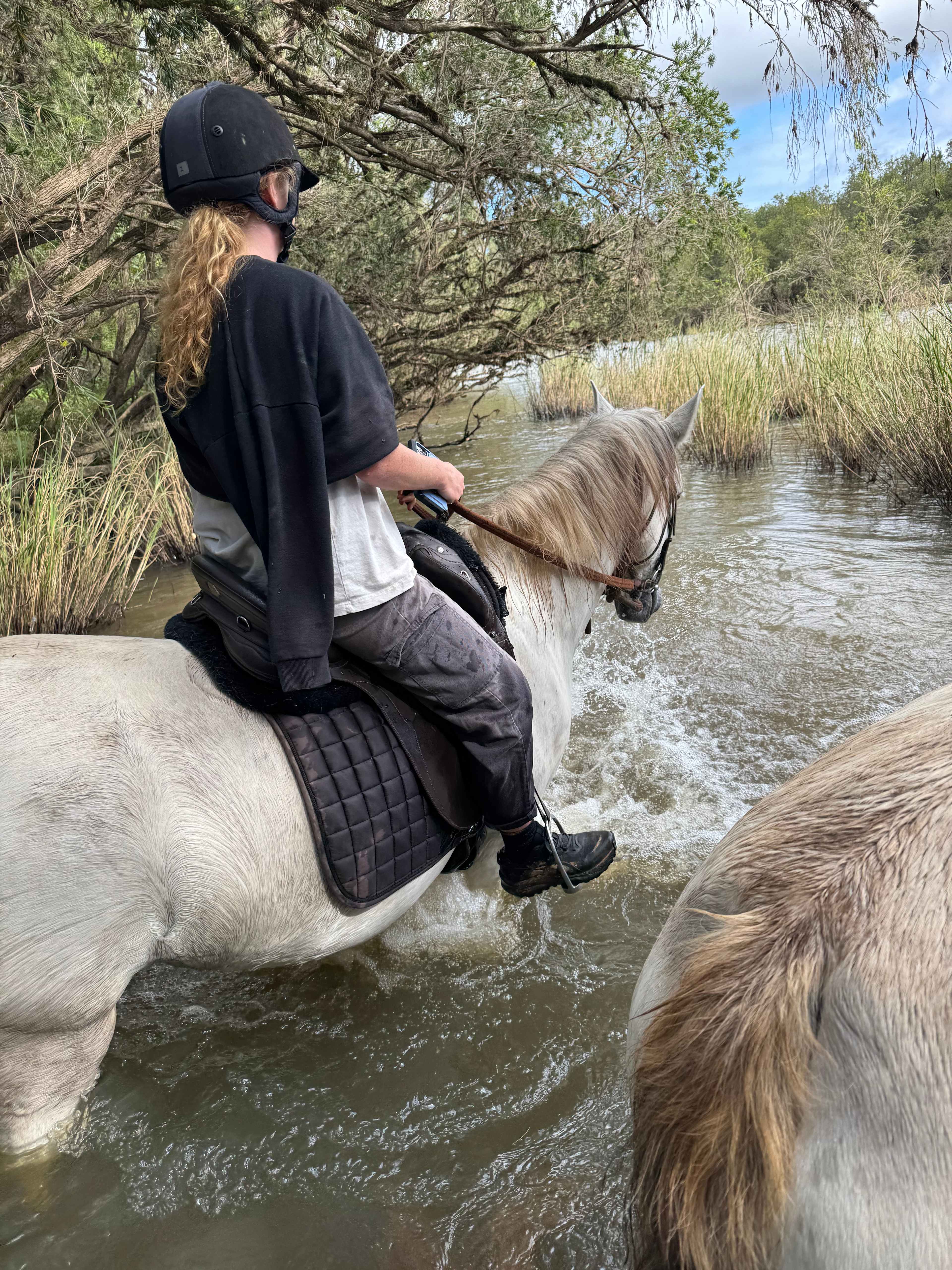 The Ranch on Clarence