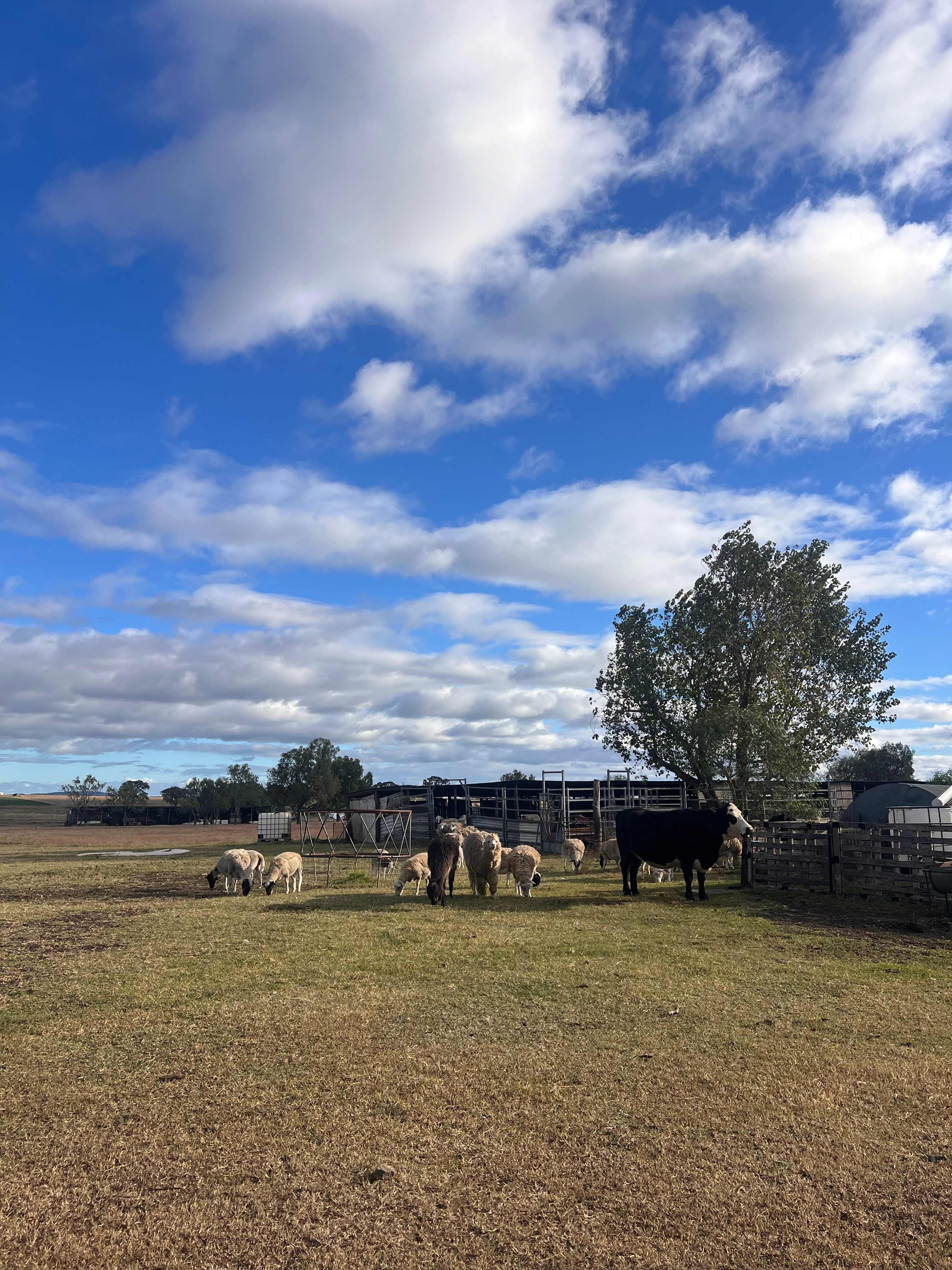 Chookhouse Farmstay Vale View