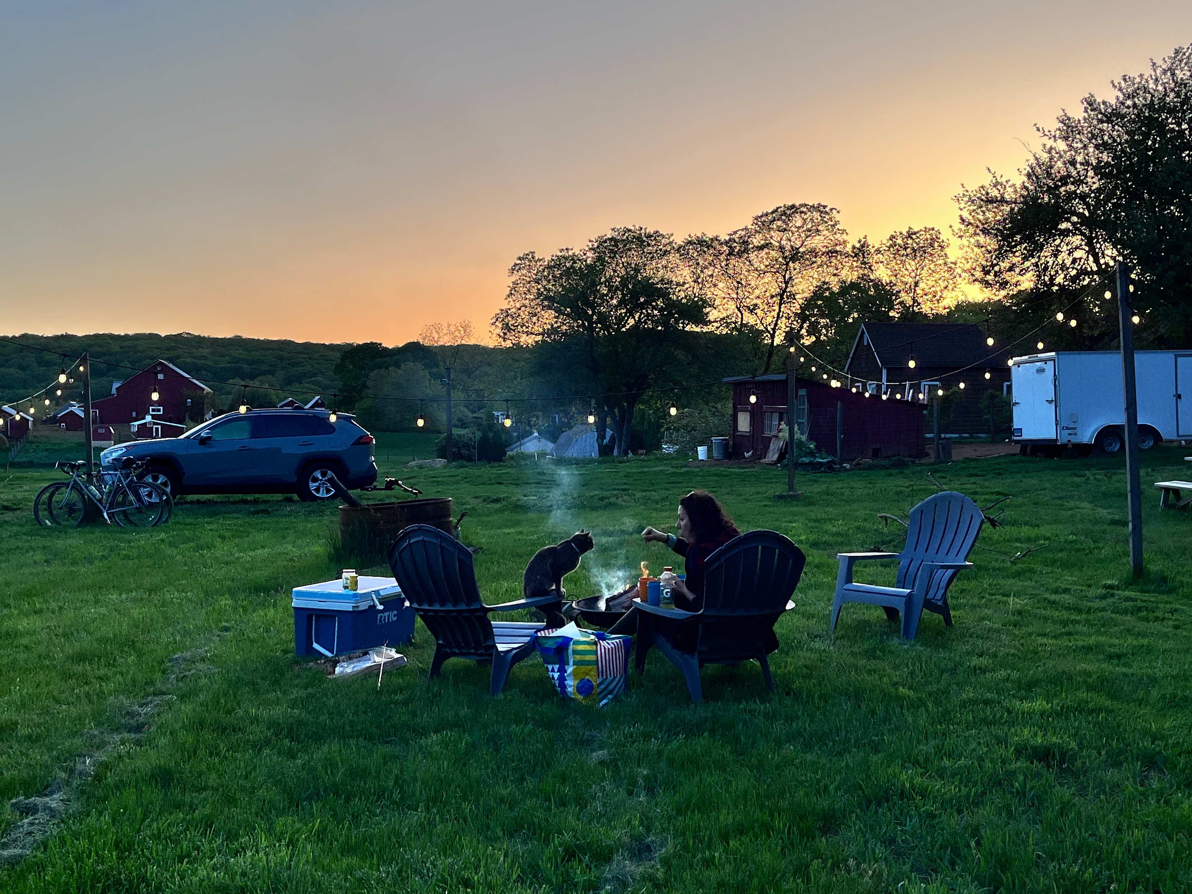 Dinner and a sunset with our new friend