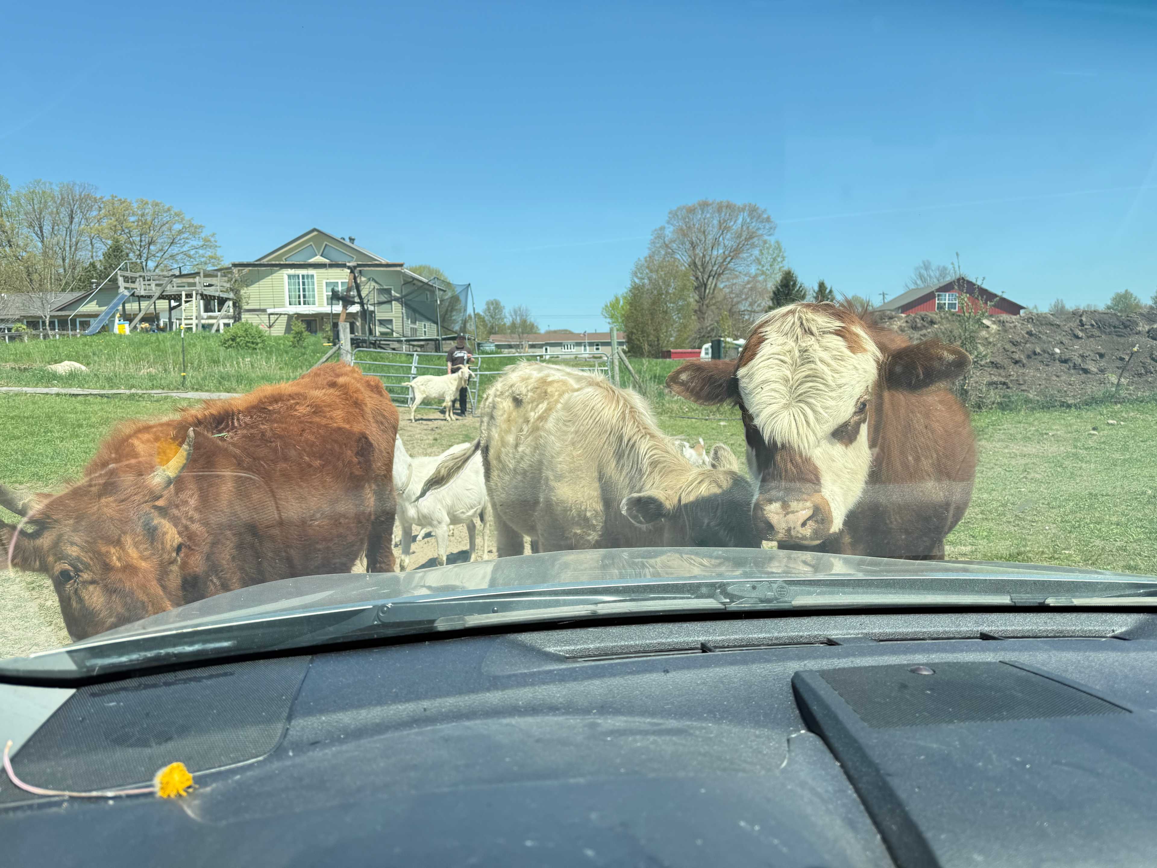 The welcoming committee