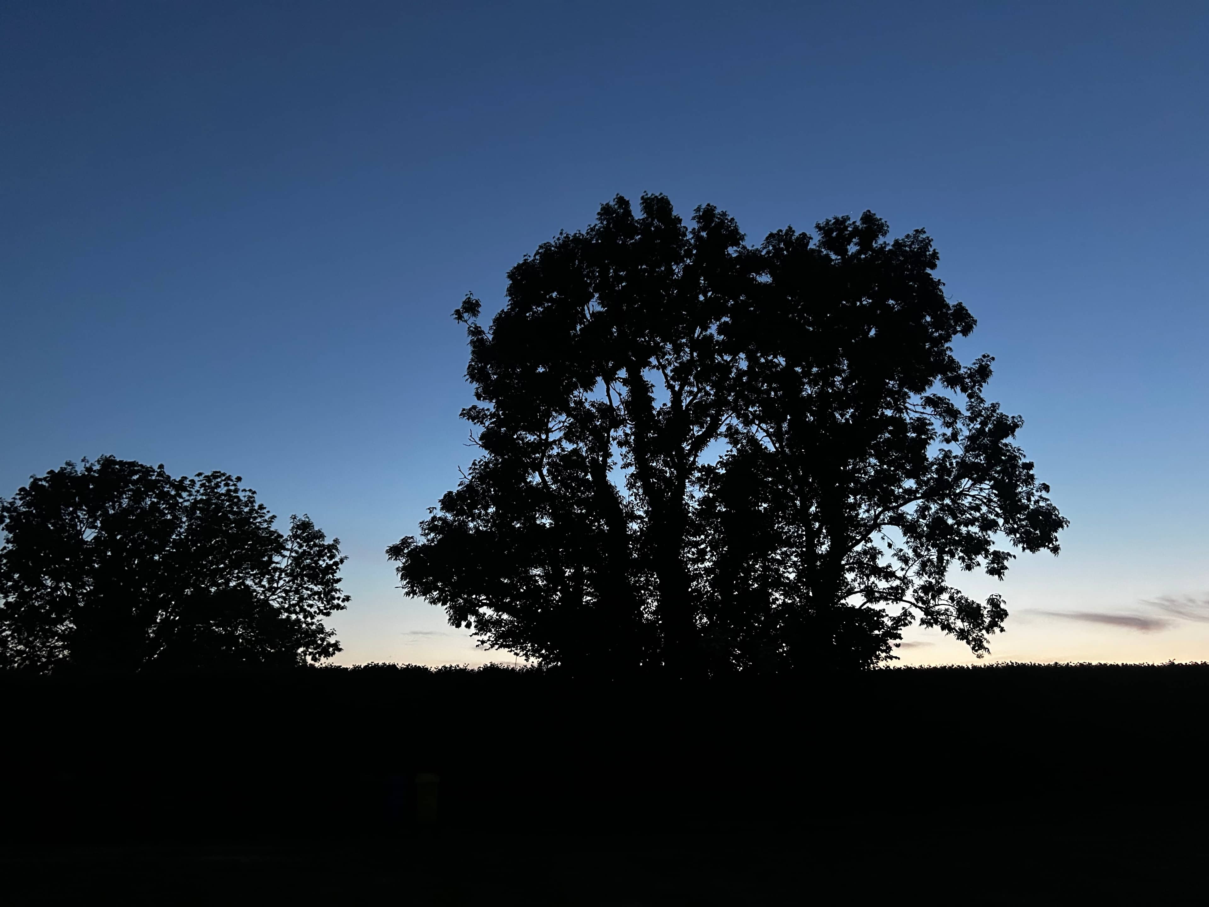 A wonderful sunset
