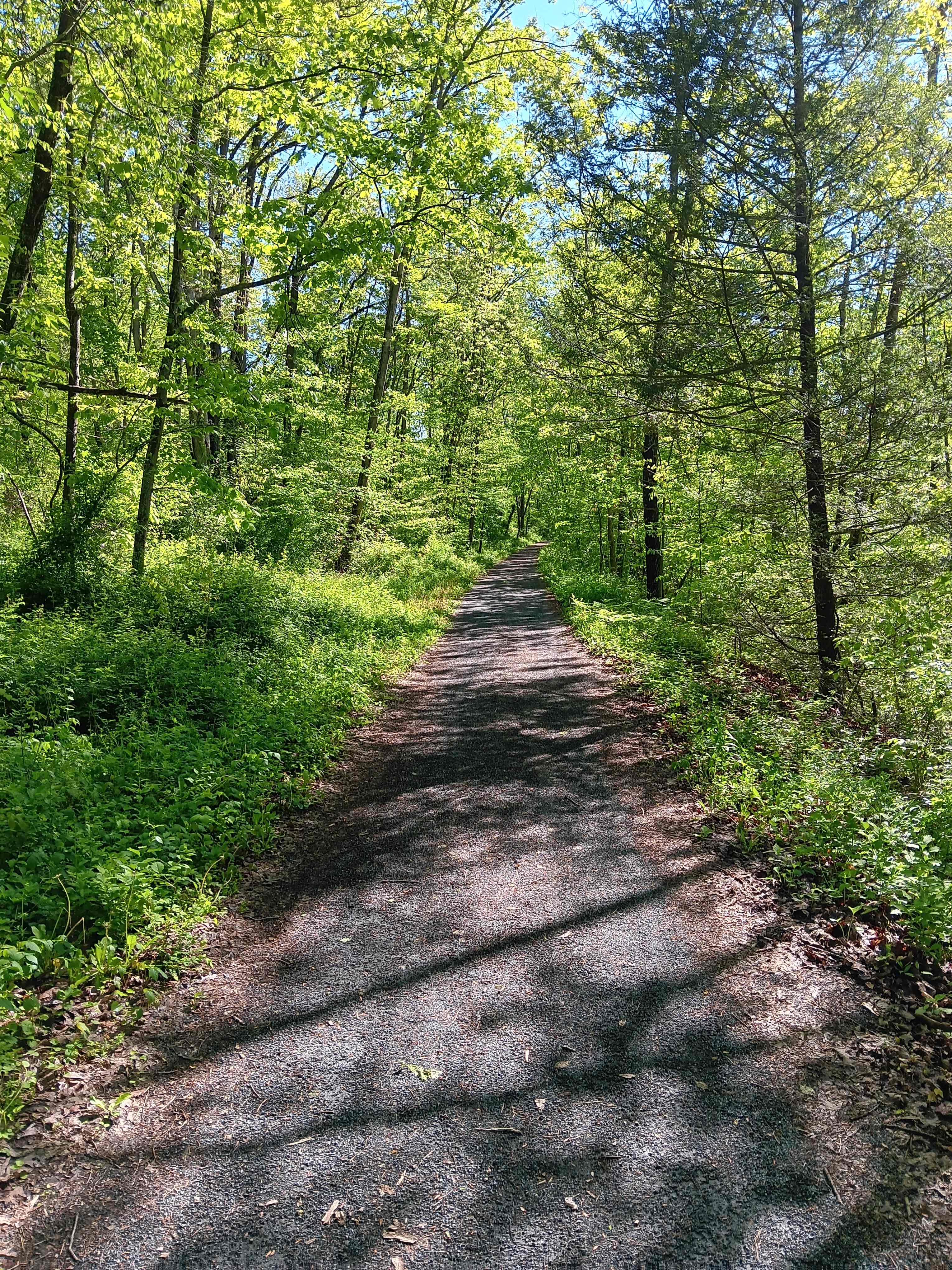Swatara Rail Trail nearby.