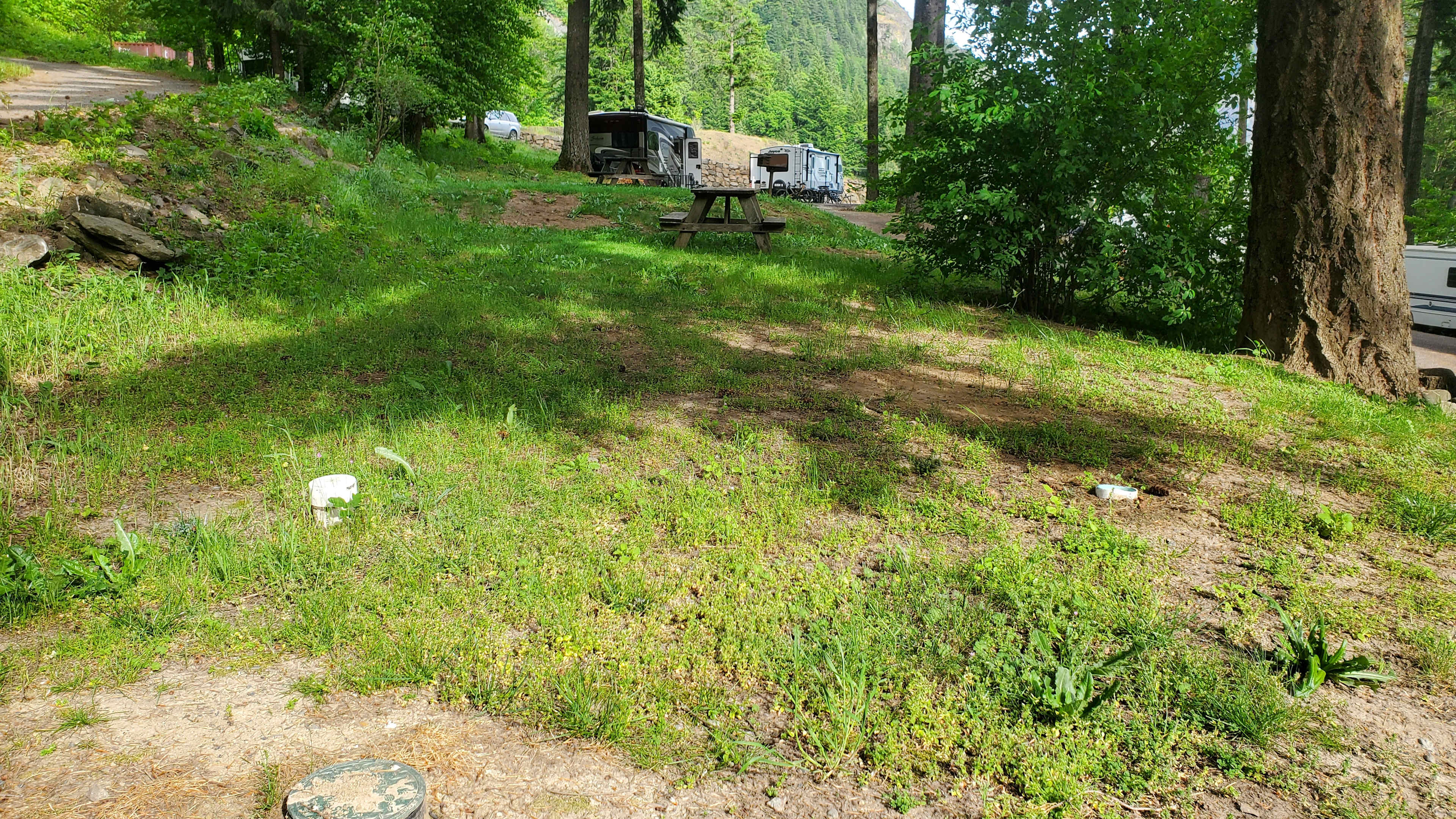 Dog and Wind Mountain RV Park