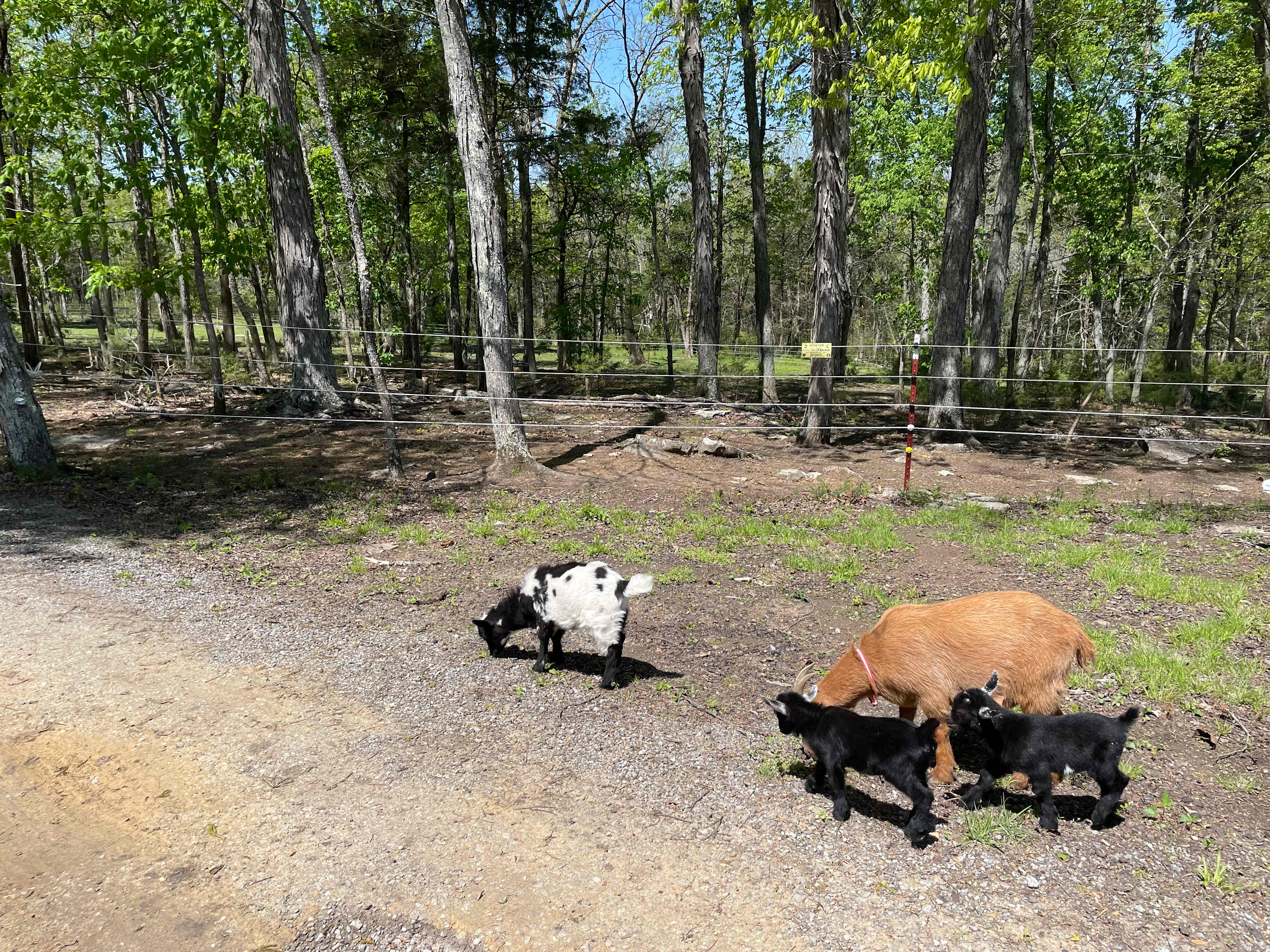 Cedar Hill Ranch