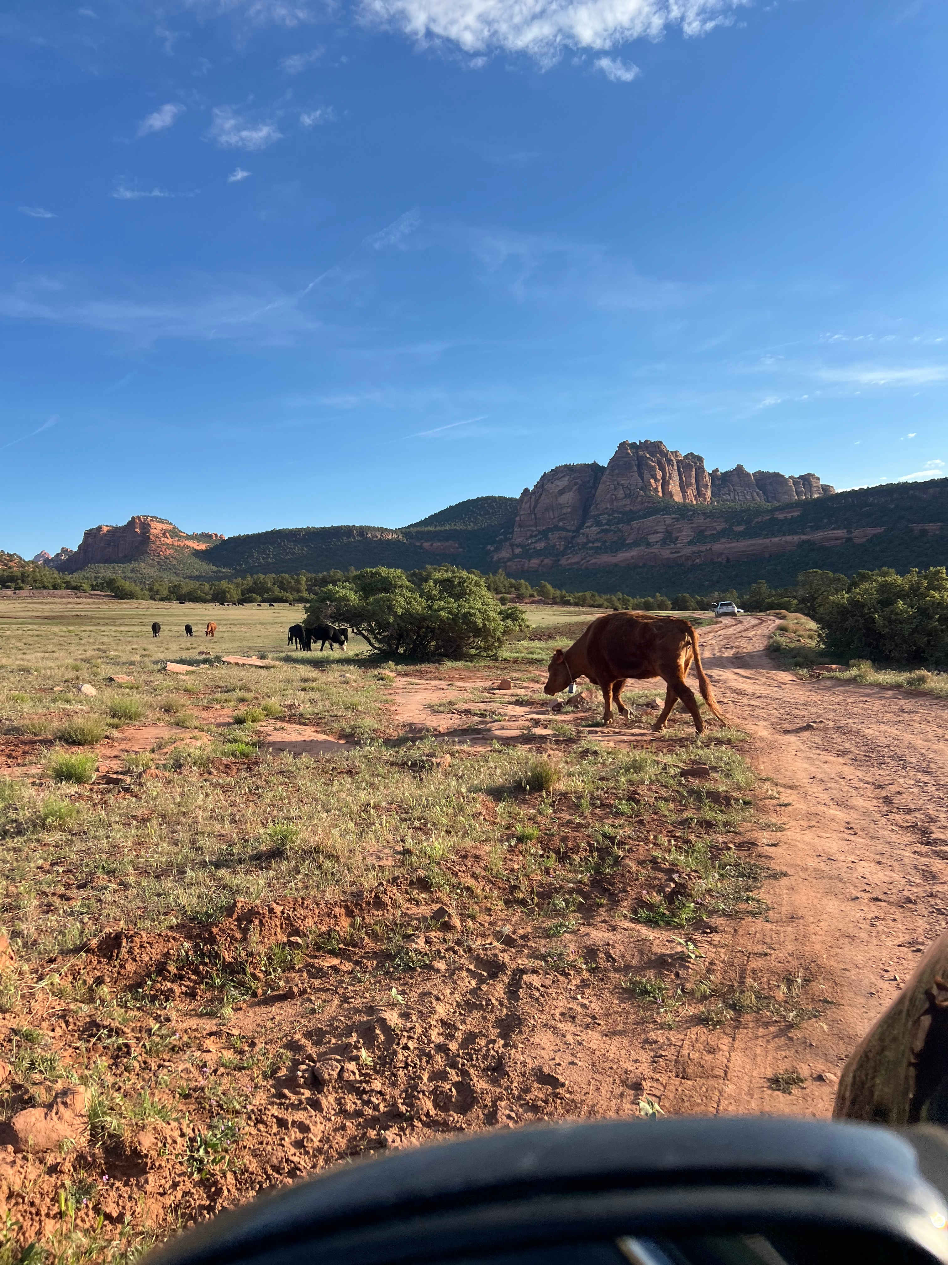 Zion Wright Ranch Eco-Camp